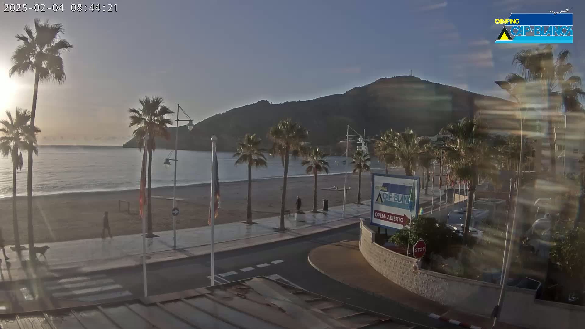 A sandy beach with palm trees lines a paved walkway next to calm ocean water under a clear sunrise sky.