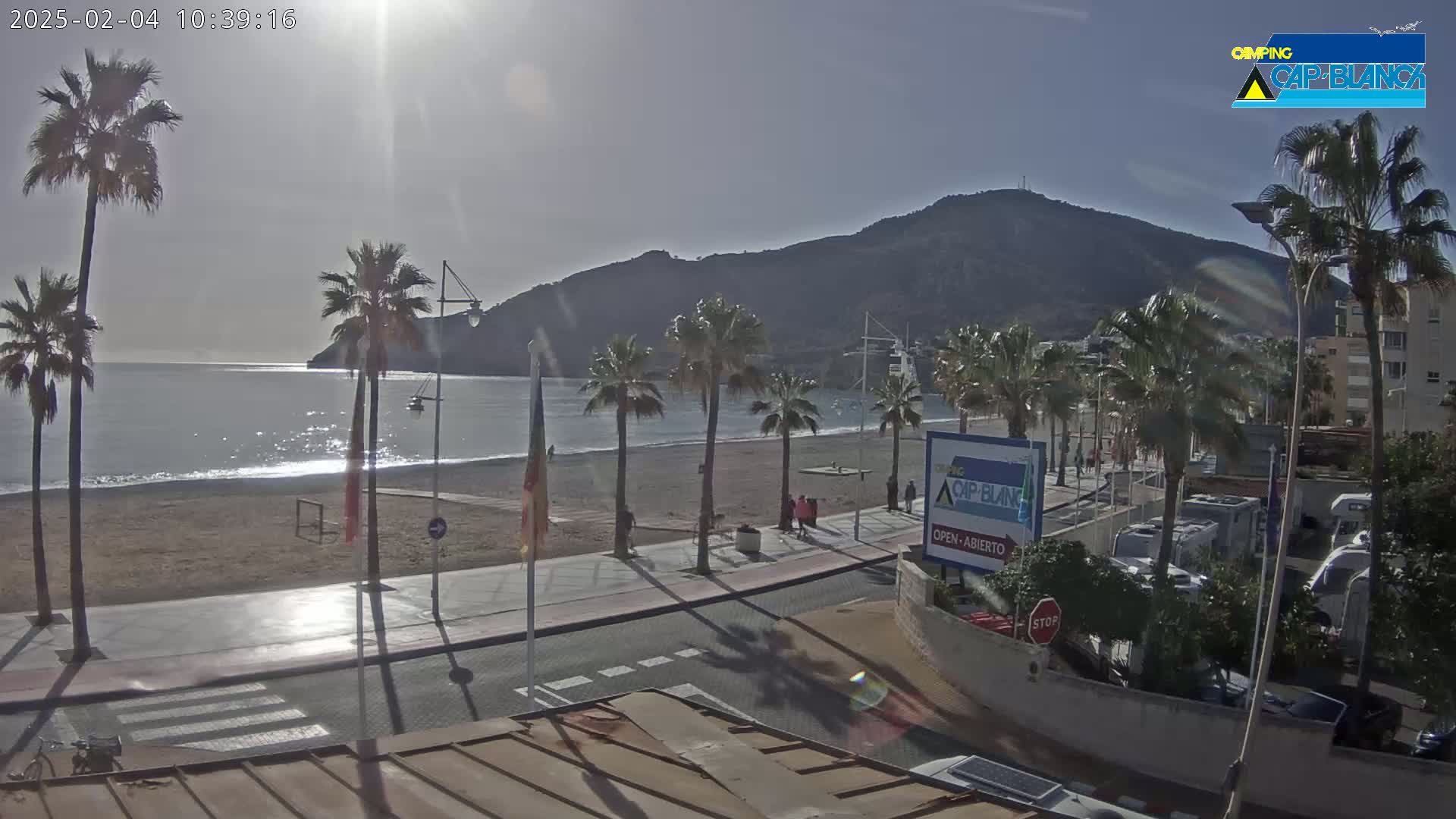 A sunny beach scene shows palm trees lining a sandy shore, a calm ocean, and a mountain in the background.