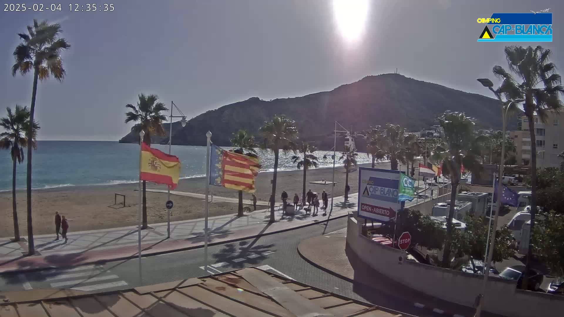 A sunny beach scene shows palm trees lining a sandy shore next to a calm ocean with a large hill in the background.