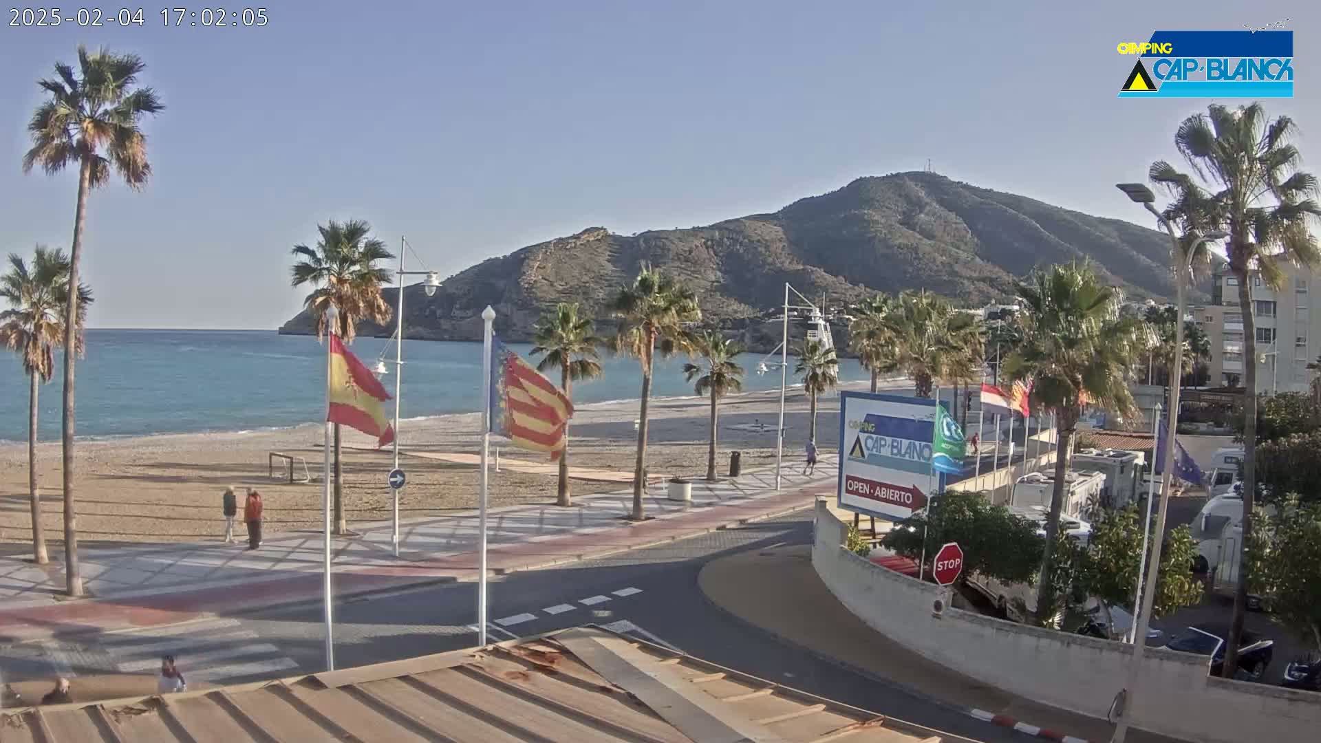 A sandy beach with palm trees and calm blue water is situated beneath a mountain on a sunny day.
