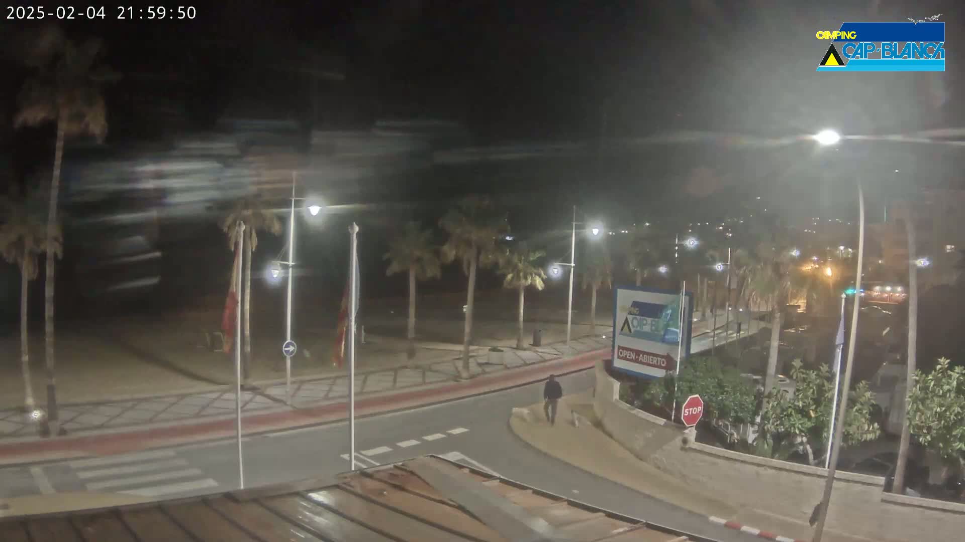A nighttime, windy scene shows a mostly empty beachside road curving around palm trees, with a single person walking and some cars parked nearby.