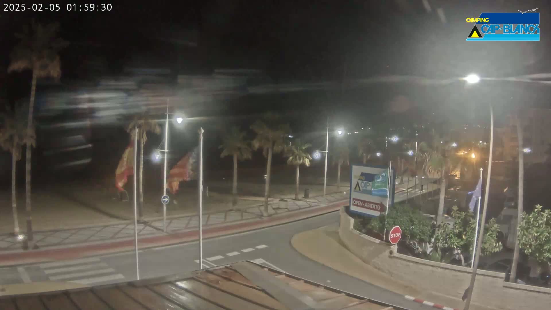A nighttime, windy scene shows a palm-lined road curving near a beach, with blurry motion suggesting strong wind.