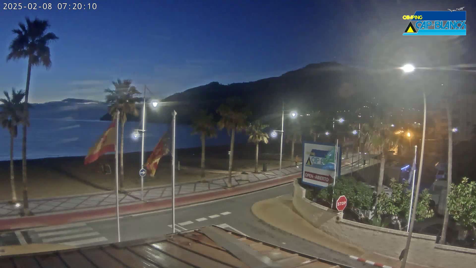 A nighttime view of a beachside promenade lined with palm trees, under a clear, dark blue sky, with the calm sea visible in the background.