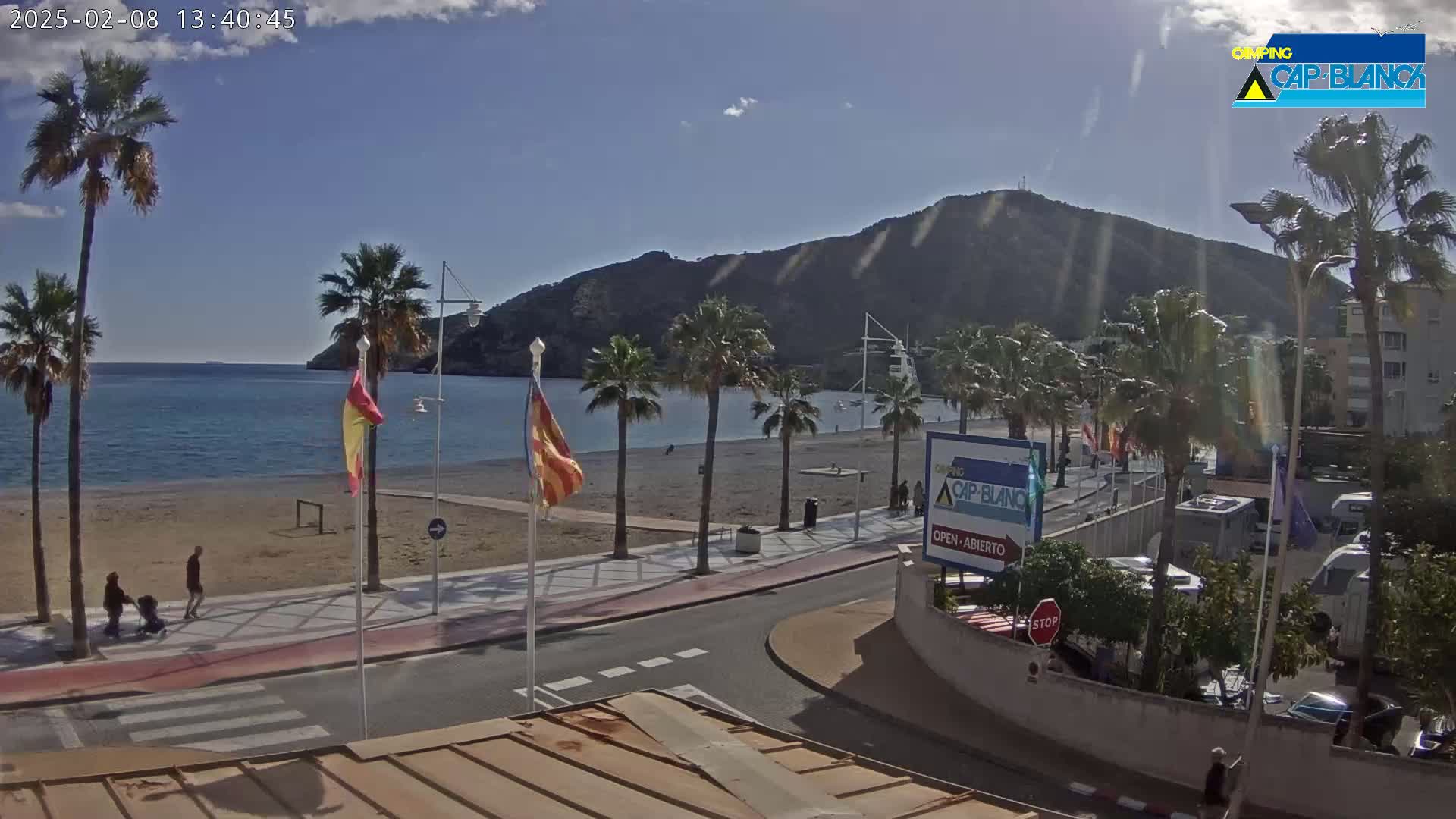 A sandy beach with palm trees lines a calm blue ocean under a clear sky, next to a road with cars parked nearby and a few people walking.