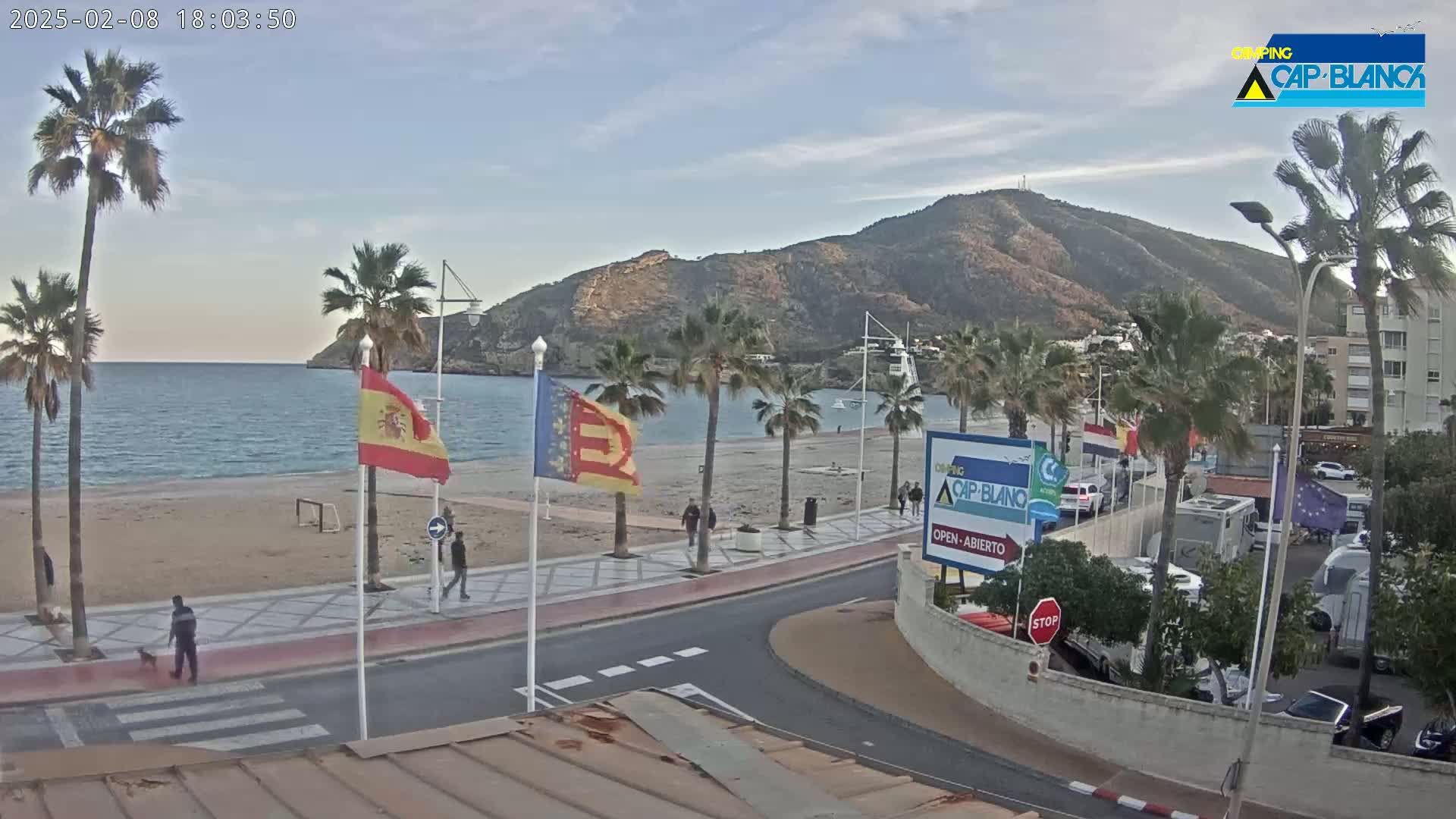A sandy beach with palm trees and a calm sea, under a partly cloudy sky, is bordered by a paved walkway and buildings, with a few people strolling along the shore.