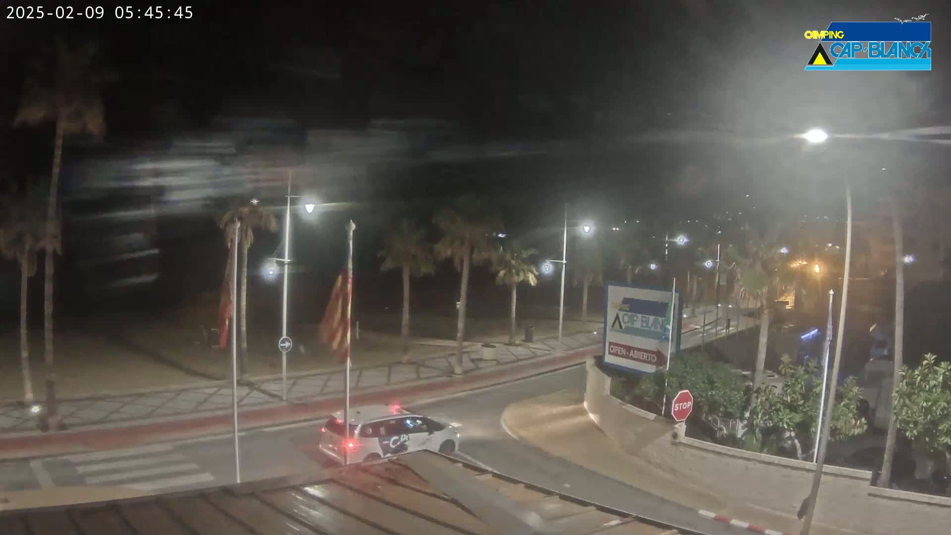 A white police car drives through a palm-tree lined street at night during windy conditions.