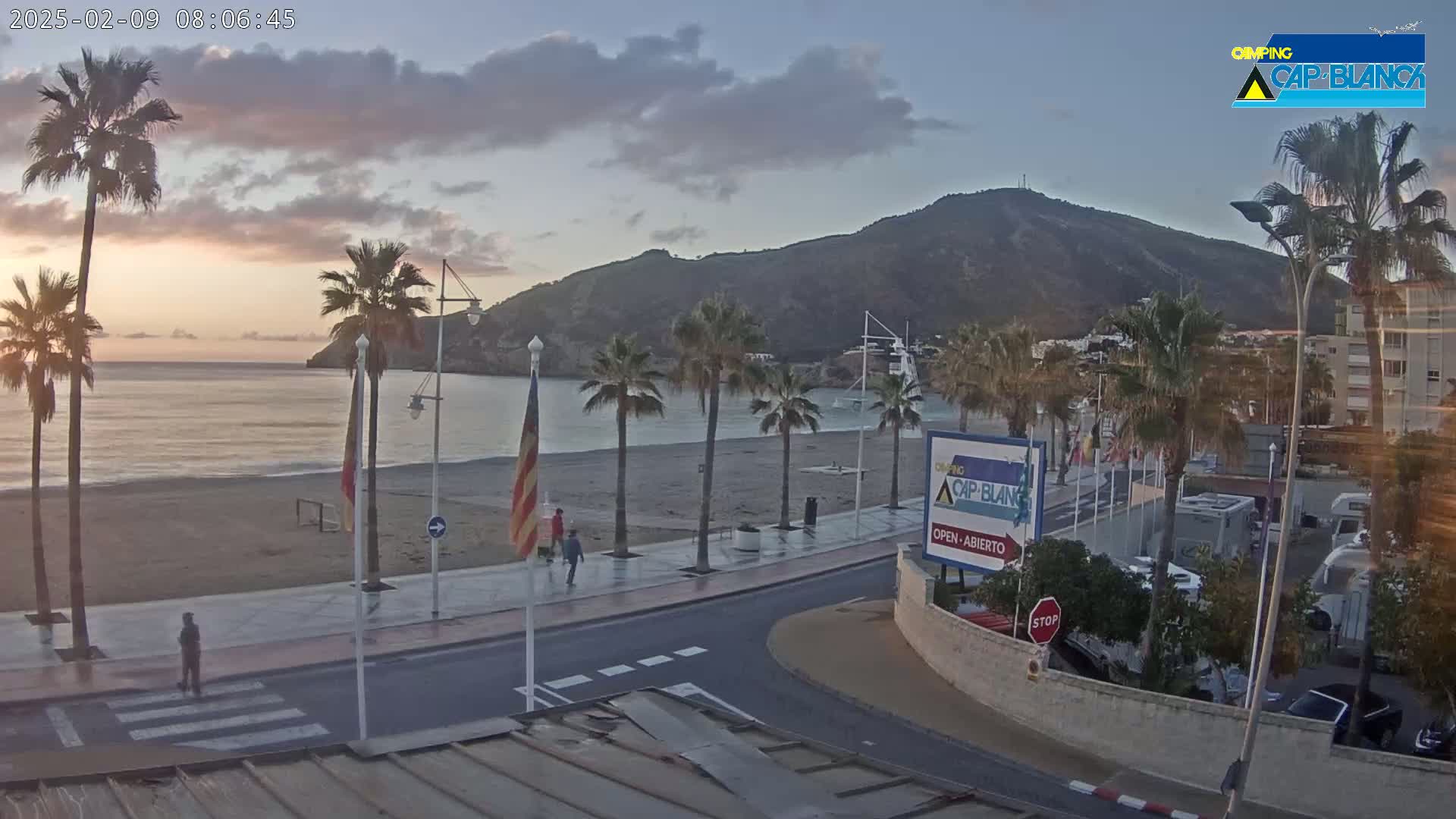 A beach with palm trees and a calm sea at sunrise, under a partly cloudy sky, is seen from a high vantage point overlooking a road and buildings.