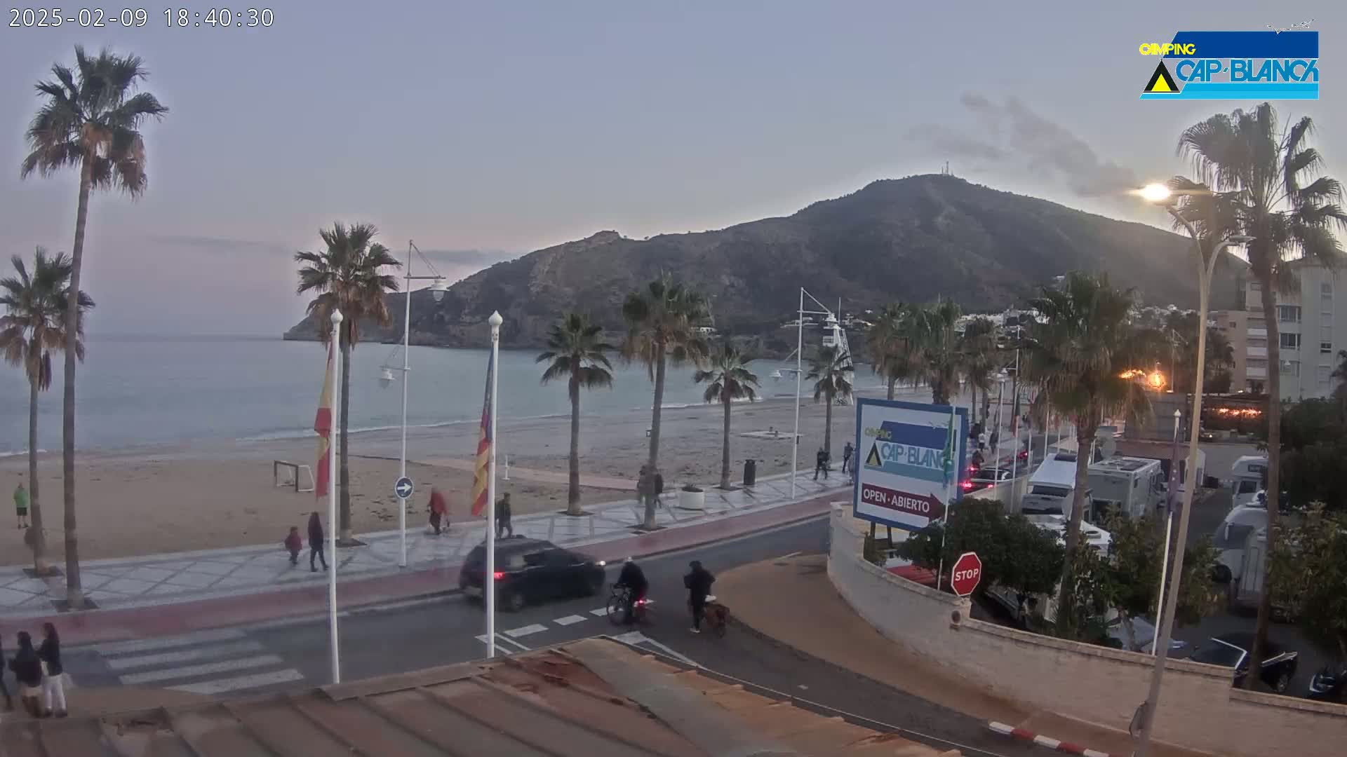 A sandy beach with palm trees lines a paved walkway next to a calm ocean under a twilight sky, with cars parked along the road behind.