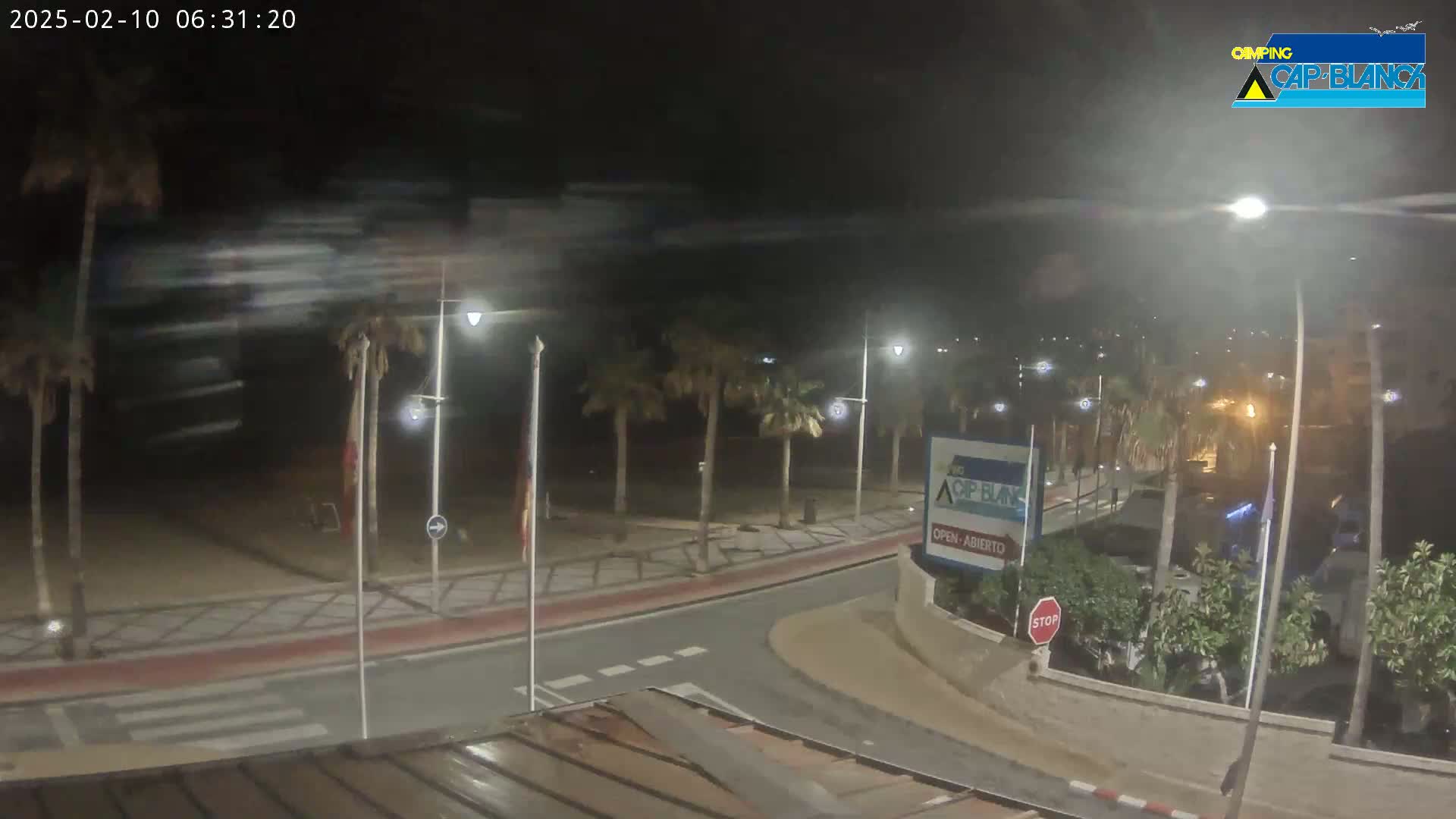 A nighttime view of a palm tree-lined street curving toward a beach, with blurry motion in the background suggesting wind.