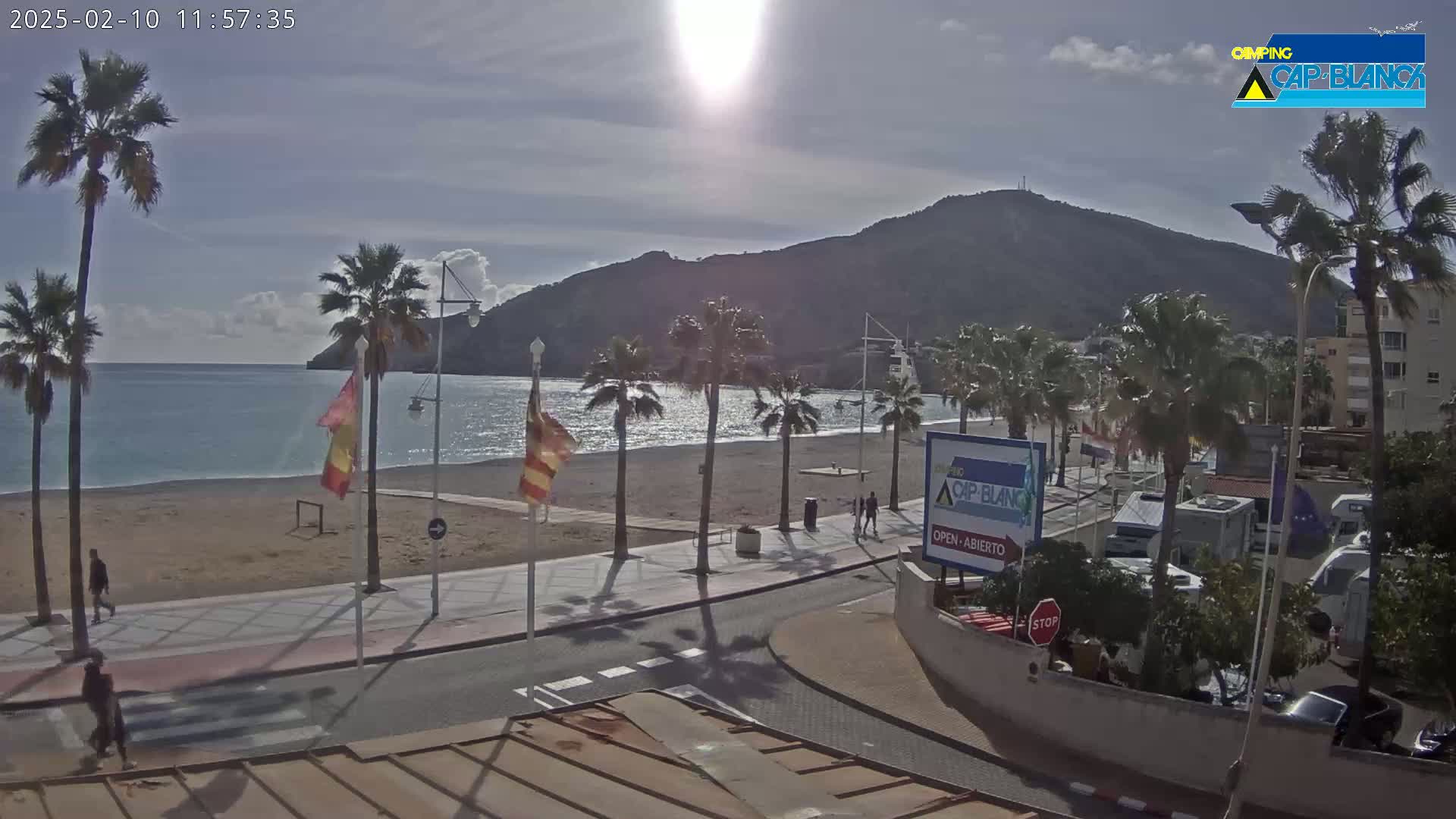 A sunny beach scene with palm trees lining a paved walkway beside a sandy beach and calm ocean, all situated at the foot of a large hill.