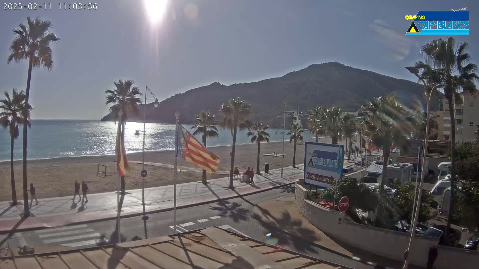 A sunny beach scene shows a sandy beach with palm trees lining a paved walkway, a calm ocean, and a mountain in the background.