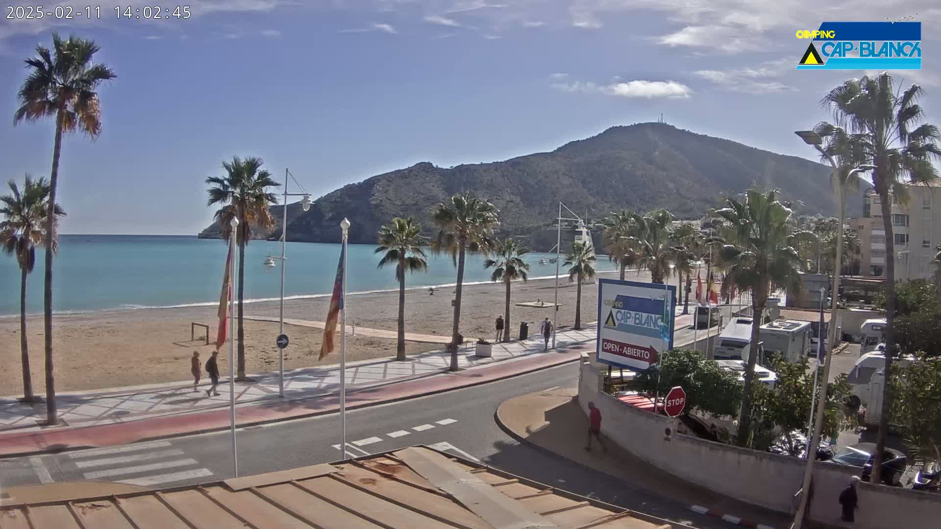 A sandy beach with turquoise water and palm trees is seen from a roadside vantage point on a sunny day.