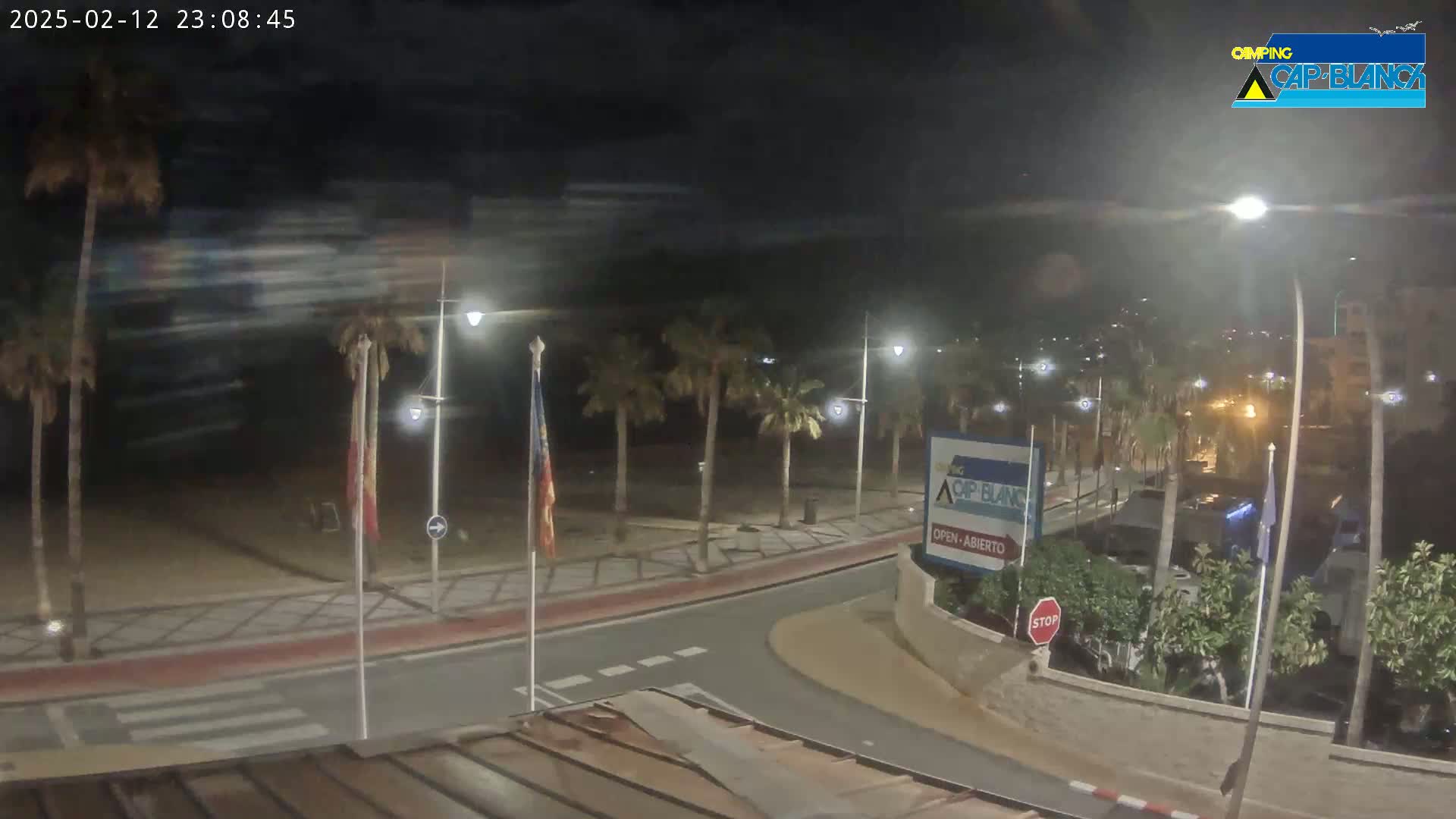 A nighttime view of a palm tree-lined road curving near a beach under a mostly clear, dark sky.