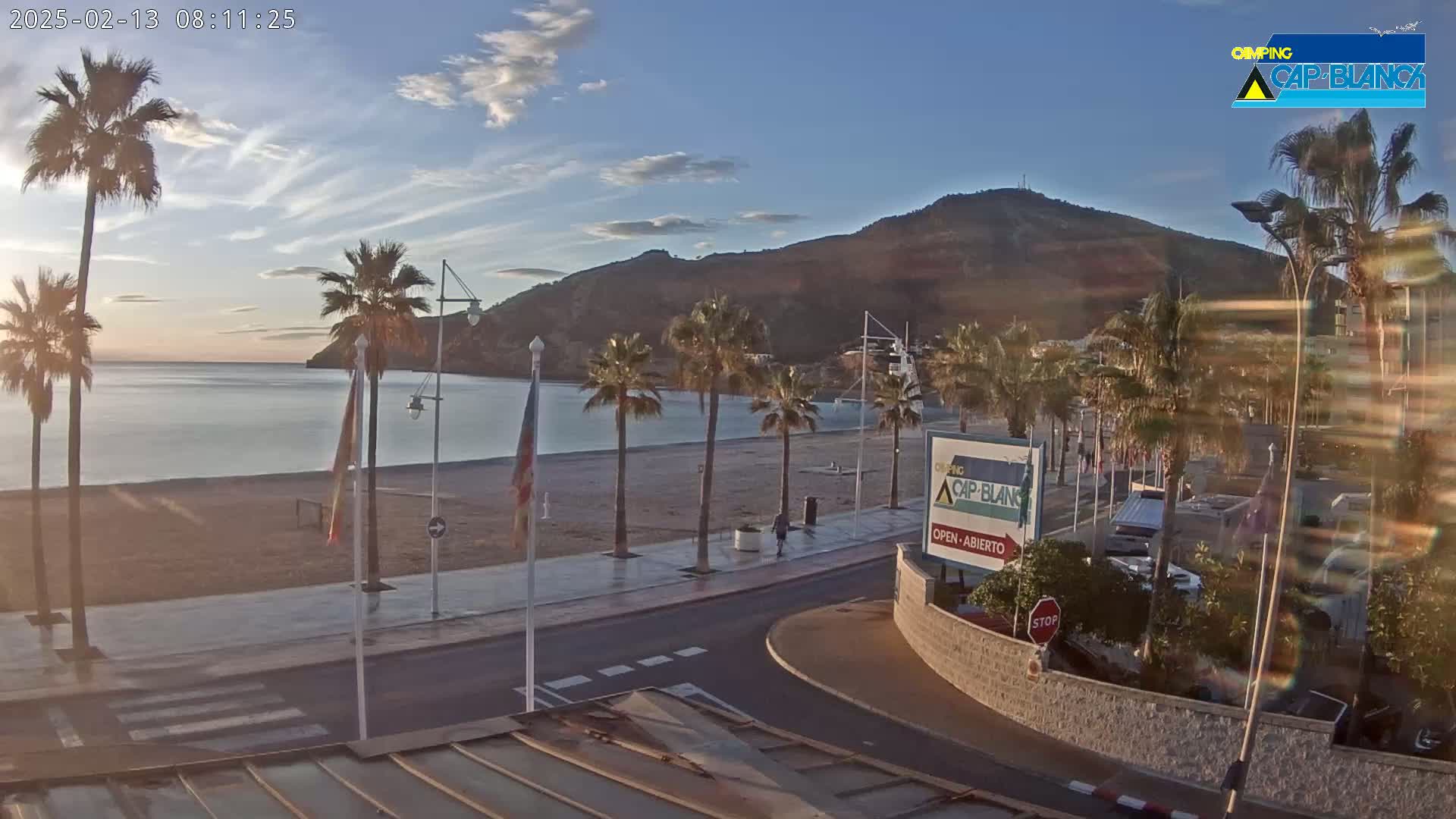 A sandy beach with palm trees lines a calm sea under a mostly clear sky at sunrise, with a hill rising behind it.