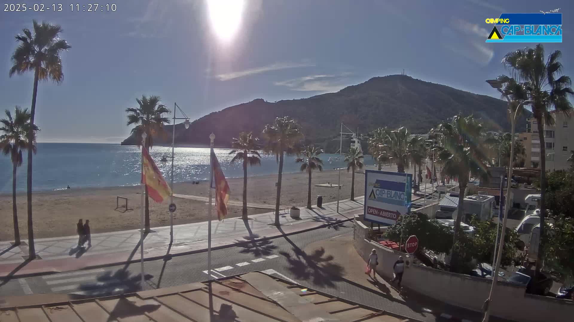 A sunny beach scene with palm trees lining a sandy shore and a calm sea, backed by a mountain.