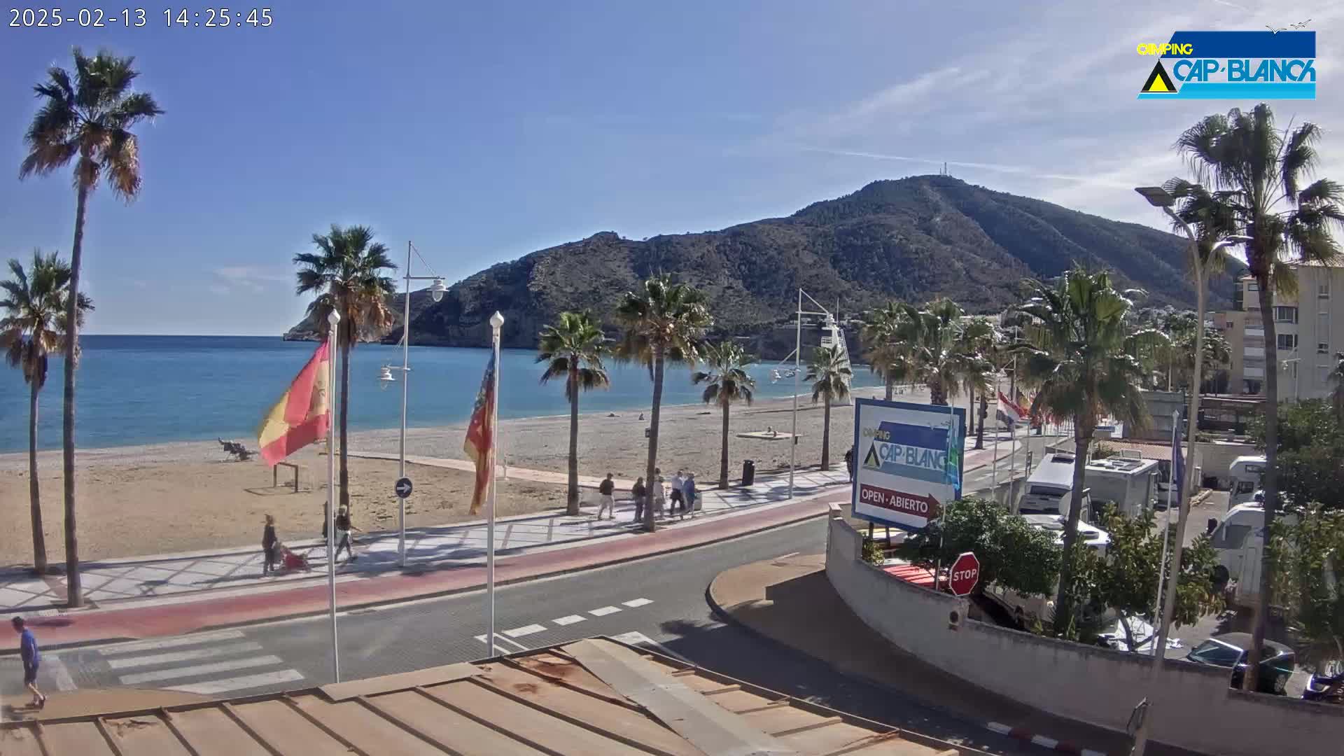A sandy beach with palm trees and a few people is situated next to a road and buildings, all under a clear blue sky.