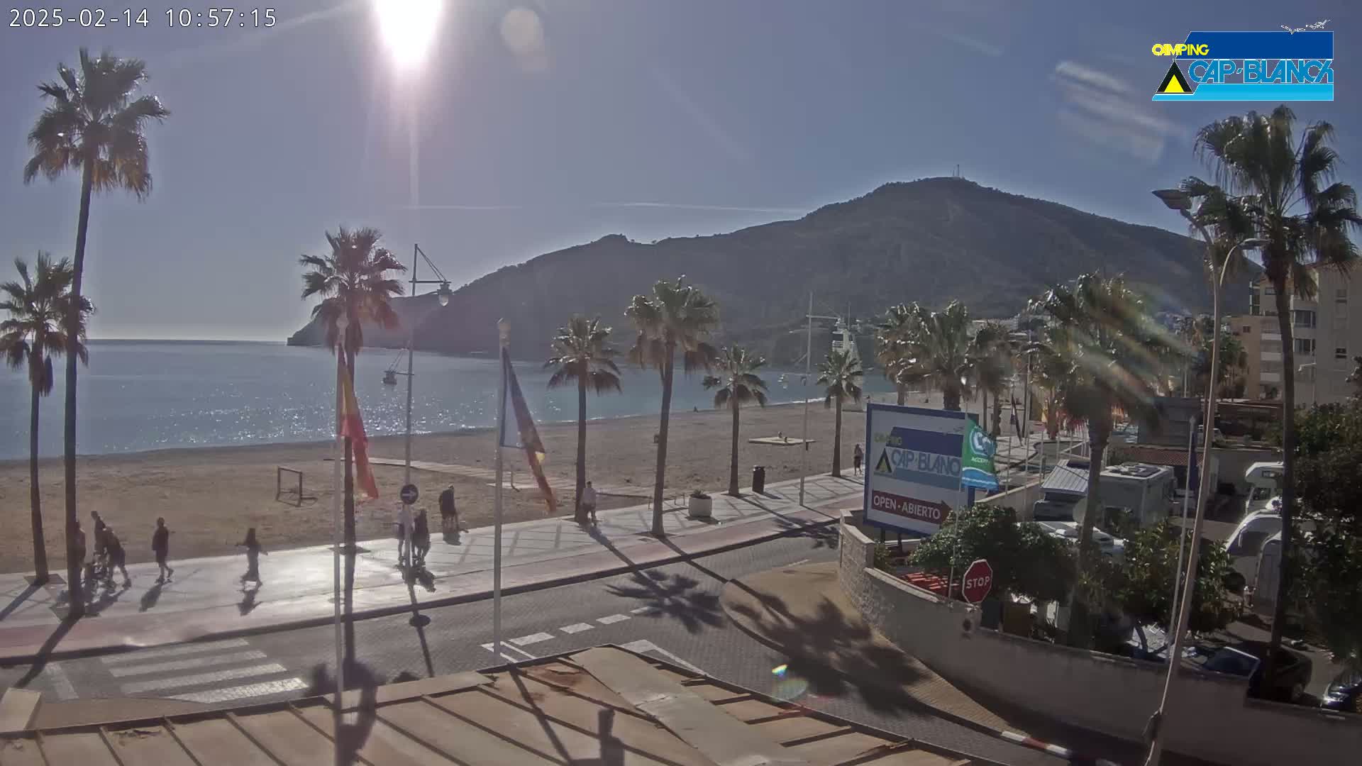 A sunny beach scene shows a sandy shore with palm trees, a calm sea, and a mountain in the background.