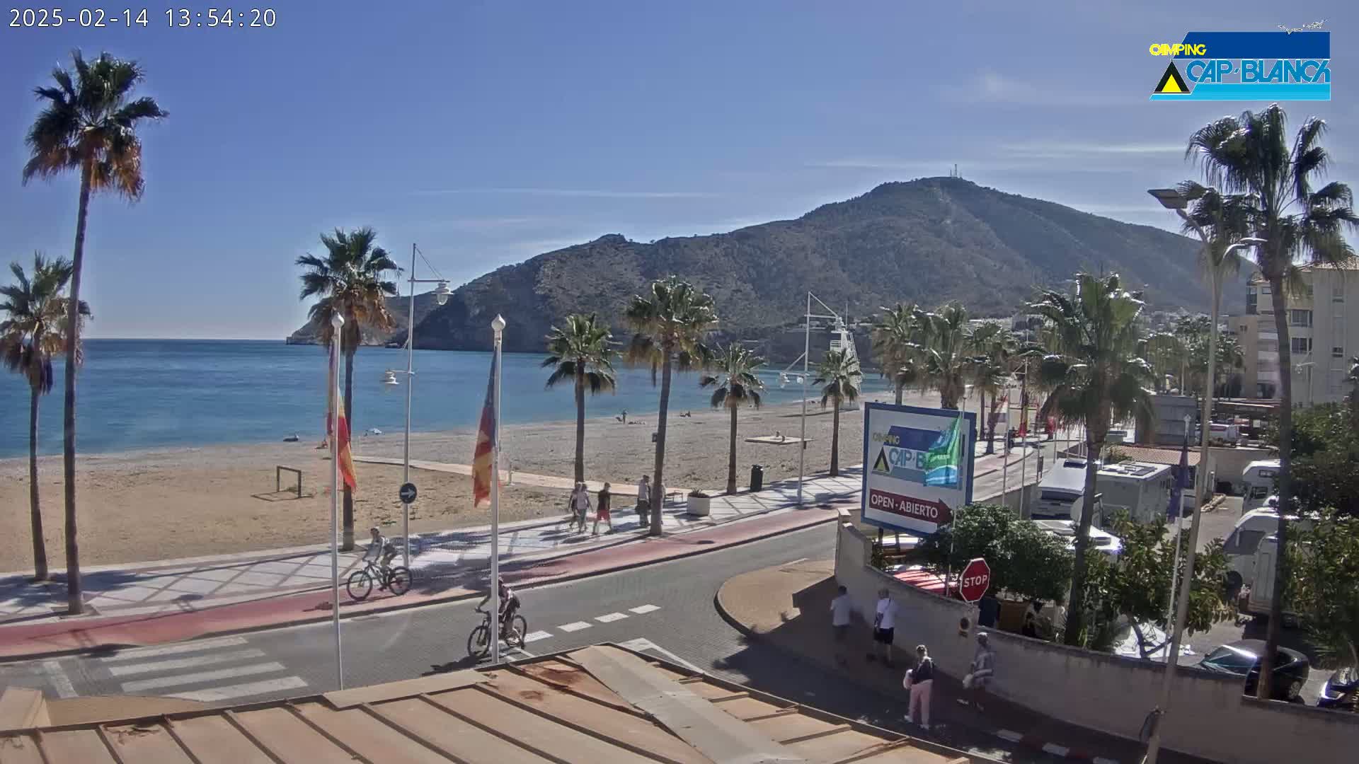 A sandy beach with palm trees lines a paved walkway next to a calm, blue sea under a clear, sunny sky, with a mountain in the background.