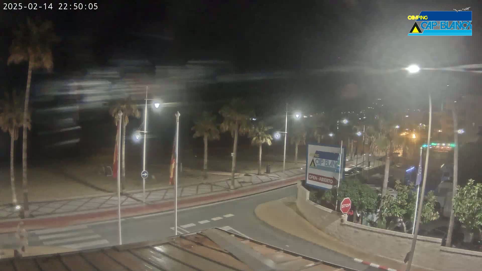 A nighttime view of a palm tree-lined beachside road, with windy conditions causing motion blur in the sky.
