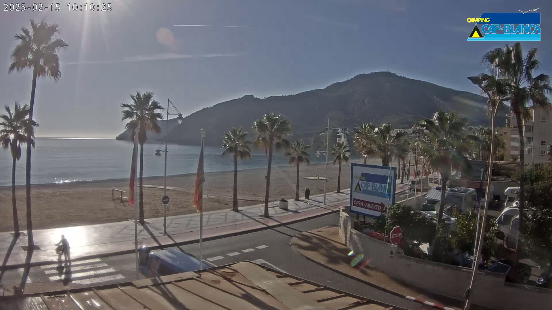 A sunny beachfront scene shows a calm sea, sandy beach, palm trees lining a promenade, and vehicles parked near buildings with a mountain in the background.