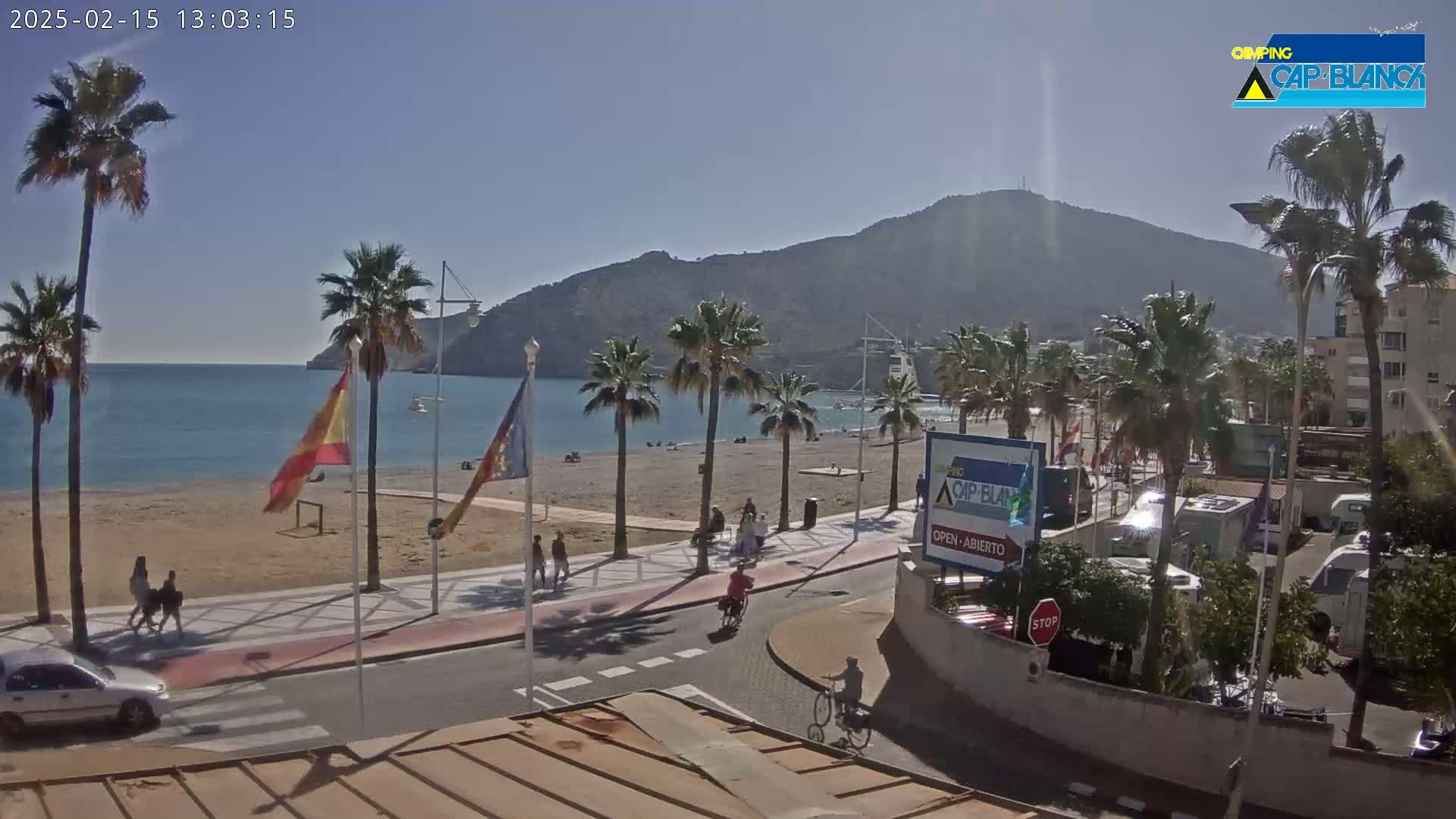 A sunny beach scene shows palm trees lining a paved walkway next to a sandy beach with calm ocean water and a mountain in the background.