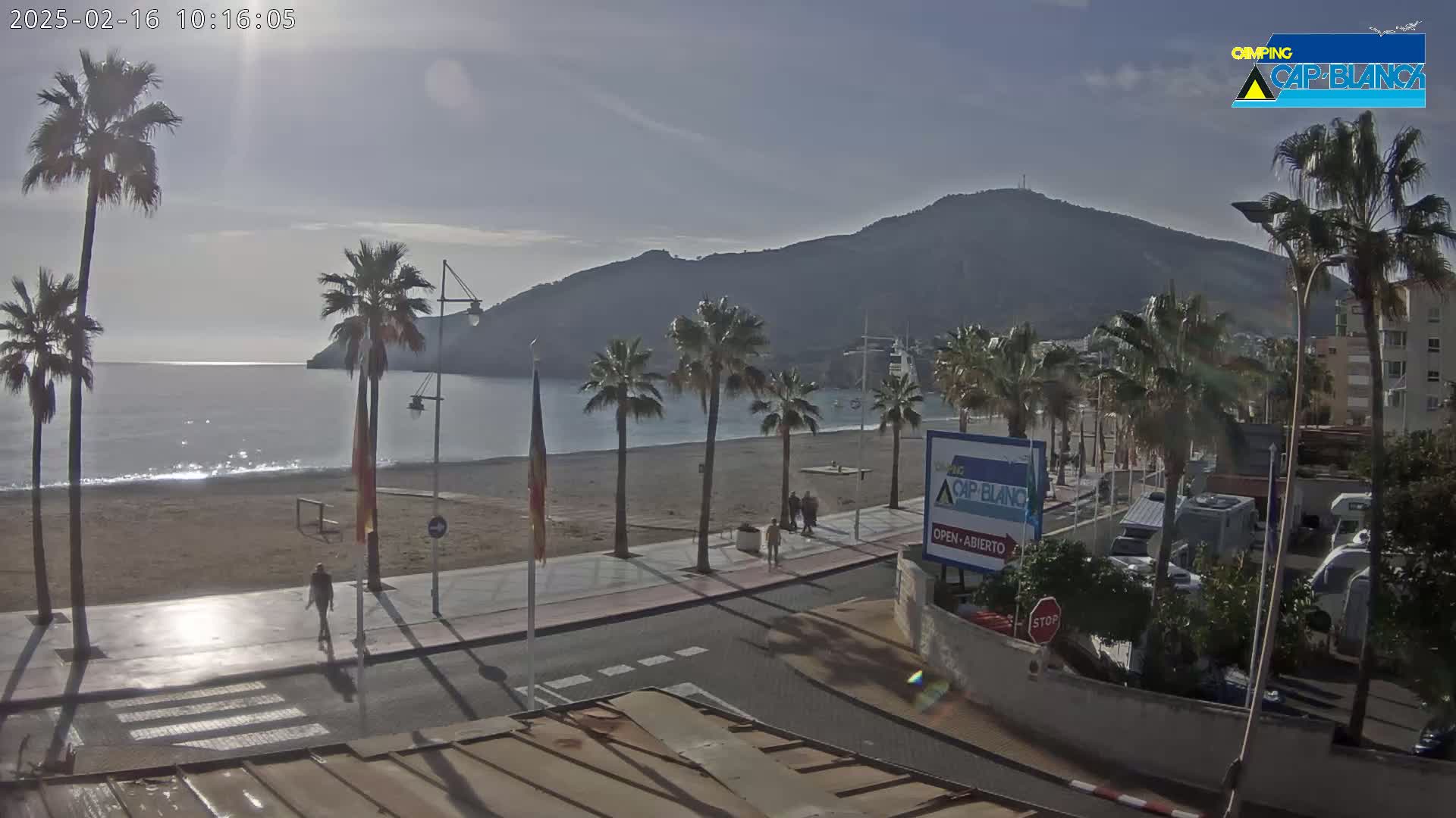 A sandy beach with palm trees lines a paved walkway next to a calm ocean under a mostly clear sky, with a mountain visible in the background.