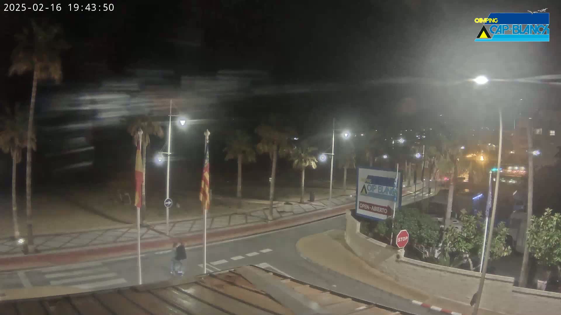 A nighttime street scene shows a palm-lined roadway curving near a beach under windy conditions.