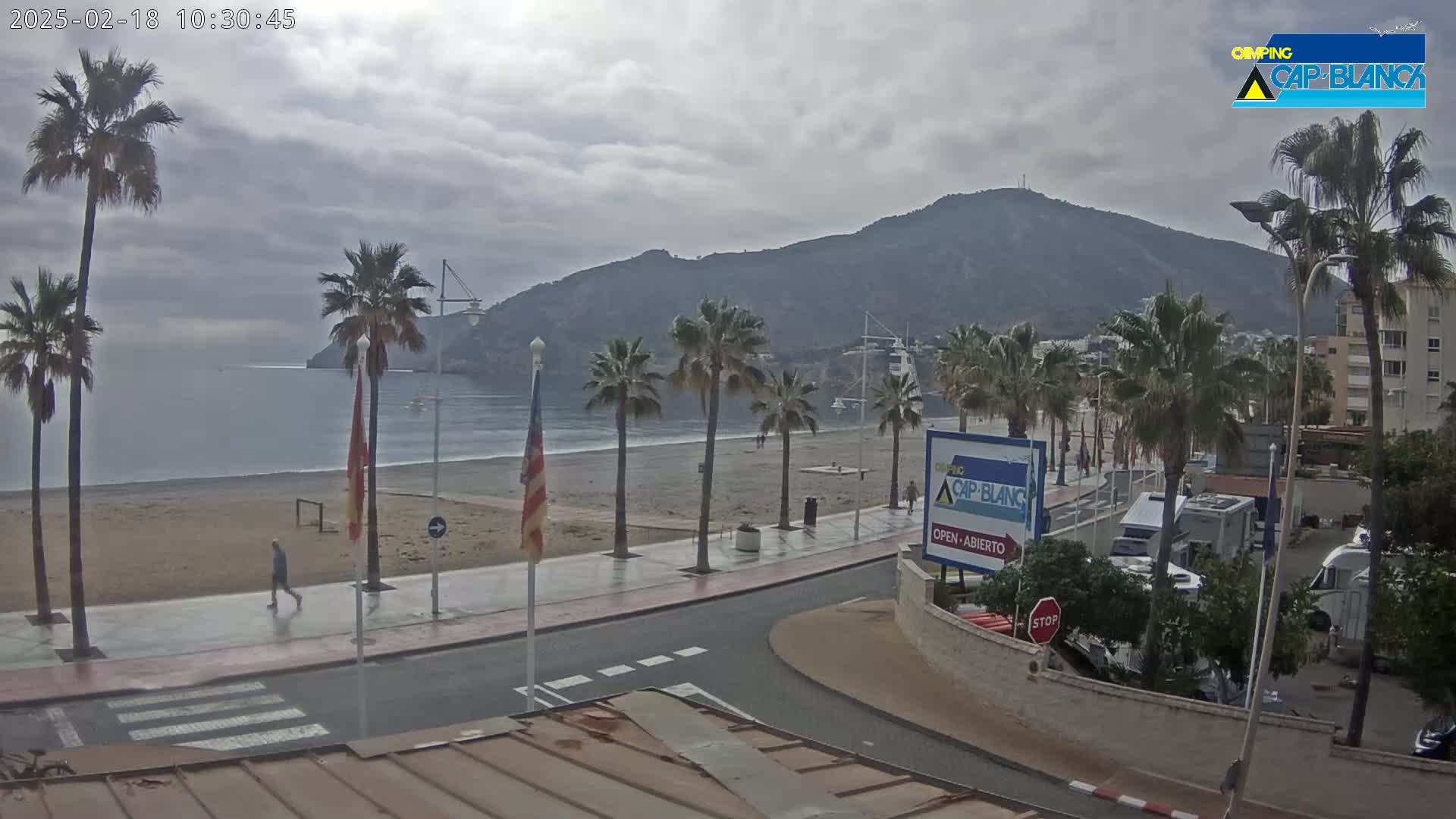 A sandy beach with palm trees lines a paved walkway next to a calm, gray-cloudy ocean, with a mountain in the background.