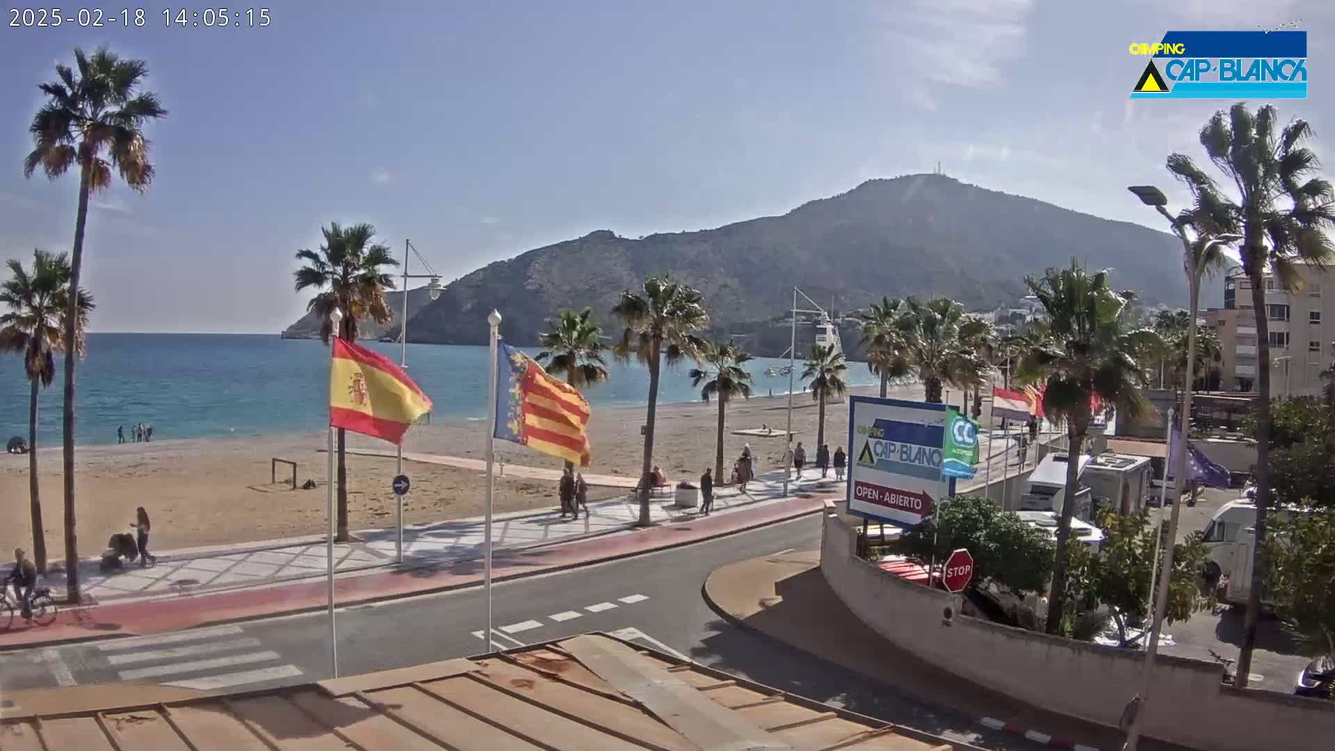 A sandy beach with calm blue water, palm trees, and a mountain in the background under sunny skies.