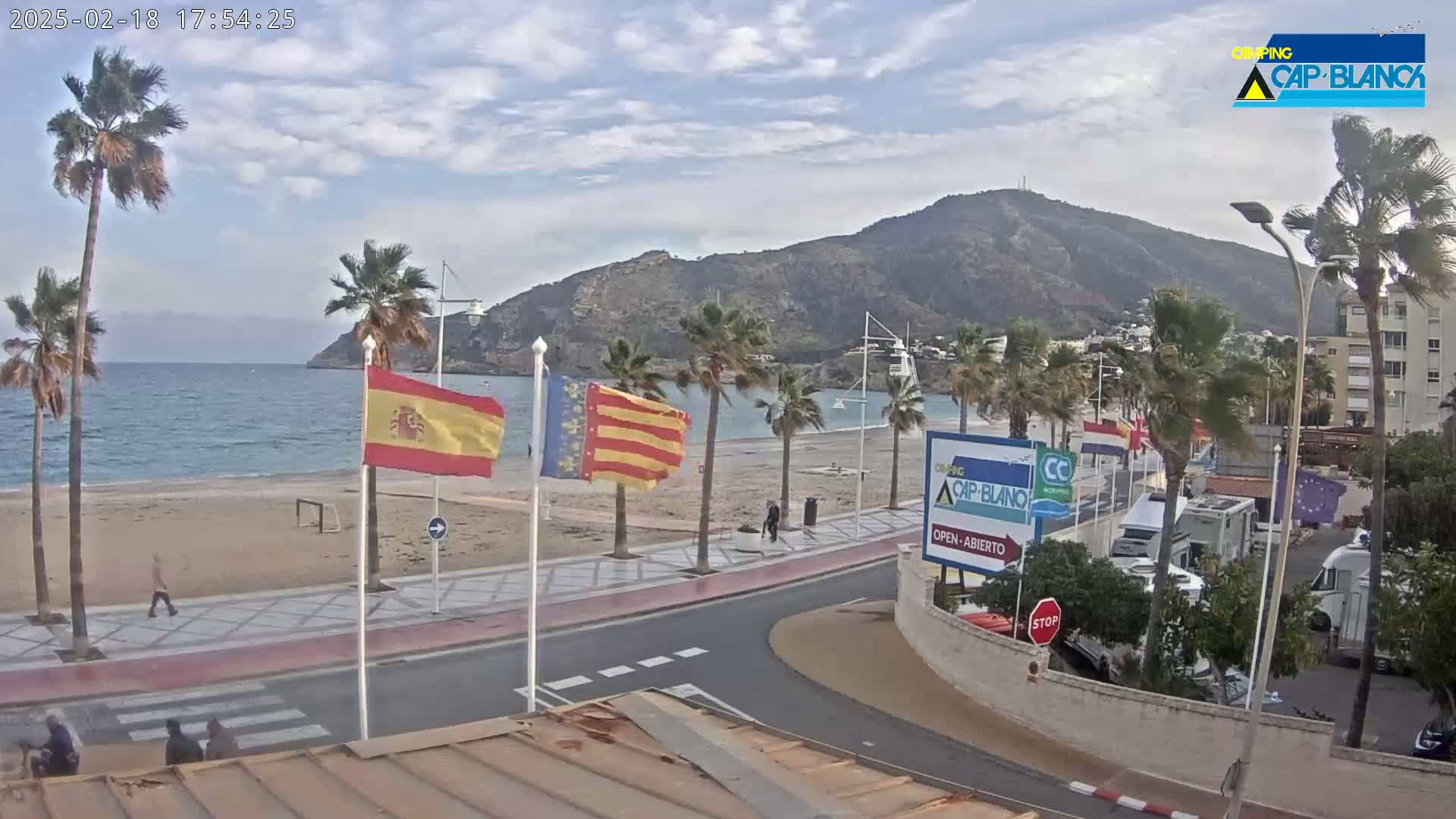 A windy day at a beach with palm trees, flags, and a mountain in the background.