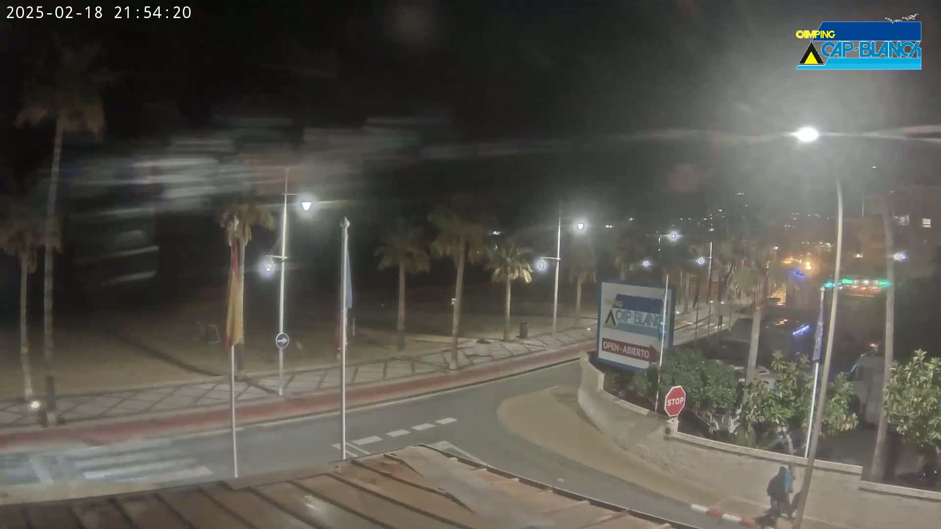A nighttime, slightly blurred view of a palm tree-lined roadway curving near a beach, under mostly clear skies.