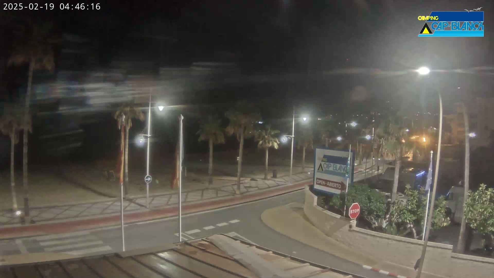 A nighttime street scene shows a palm-tree-lined roadway curving toward a building, under mostly clear skies.