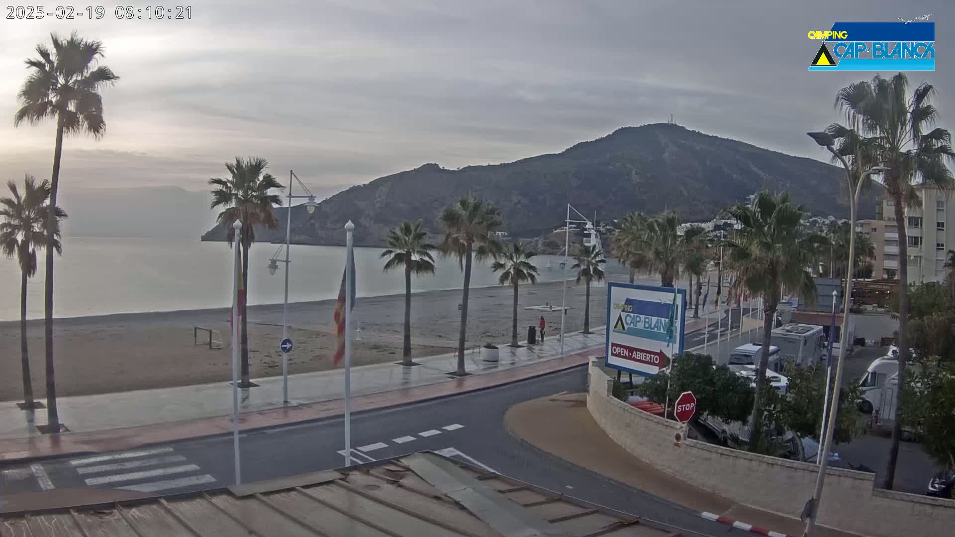 A sandy beach with palm trees lines a paved road next to calm, grey water under an overcast sky, with a mountain in the background.