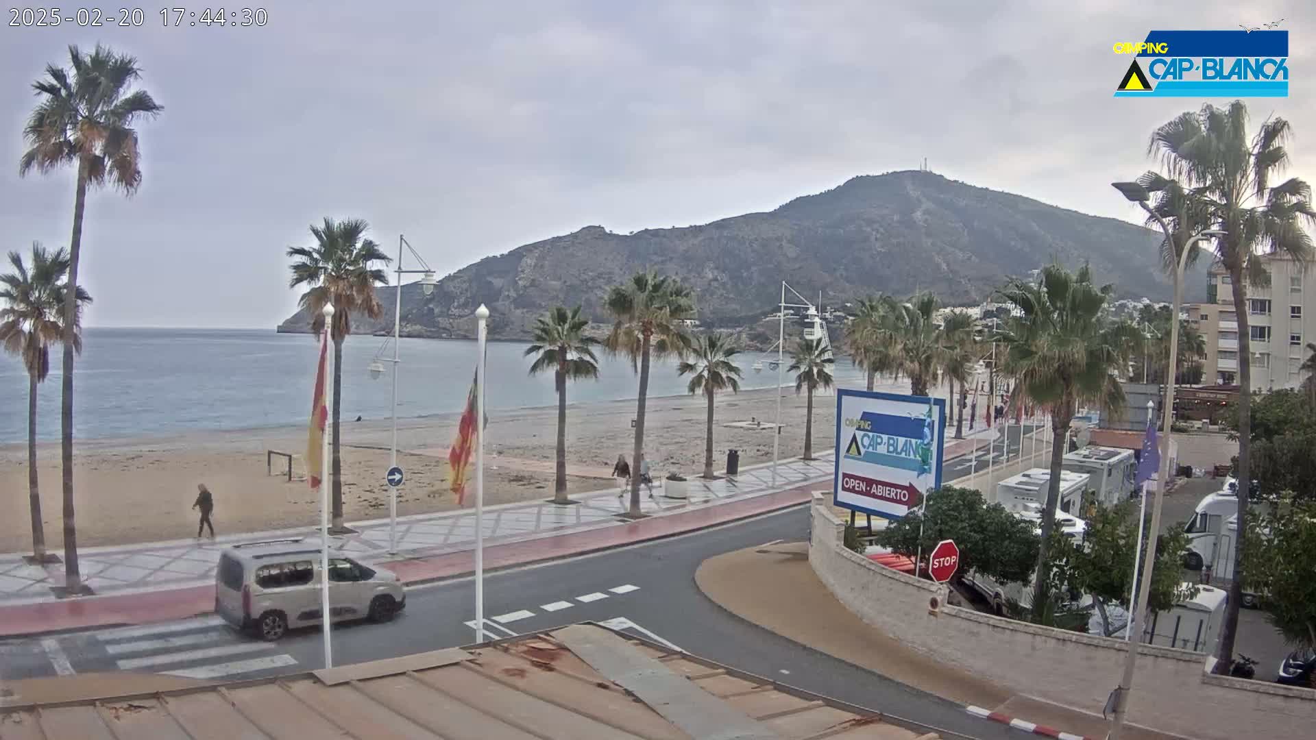 A beach scene with palm trees lining a paved walkway next to a sandy beach and calm sea, under an overcast sky.