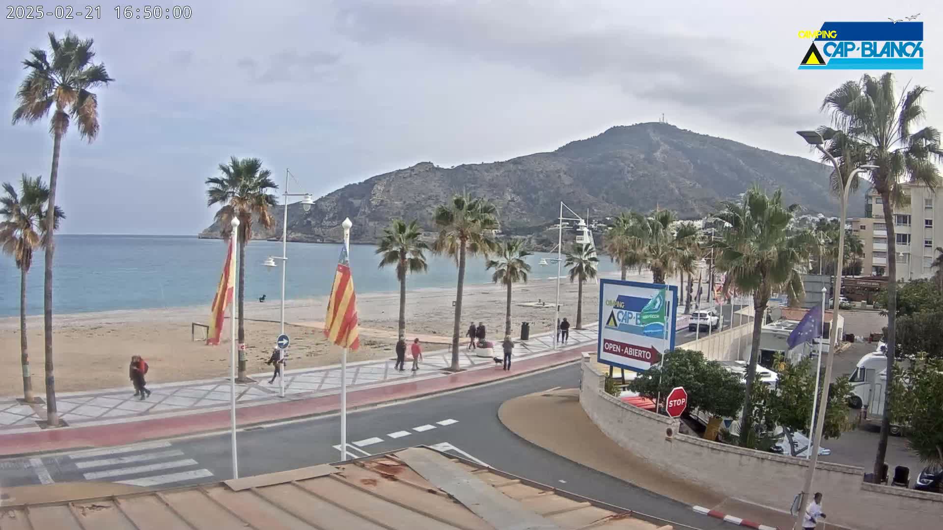 A sandy beach with palm trees lines a paved walkway beside a calm, blue sea under an overcast sky, with a large mountain in the background.