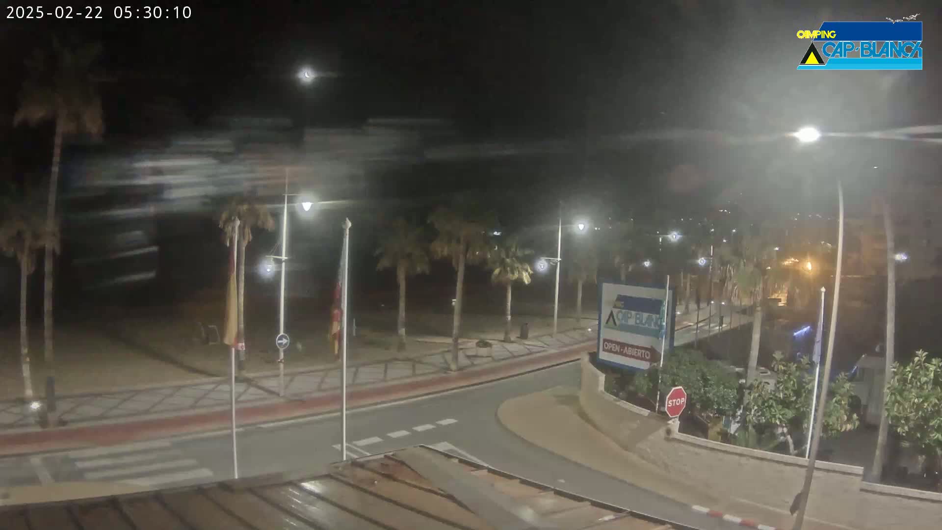 A nighttime, slightly blurry view of a palm-tree lined street curving toward a beach, under a clear sky.