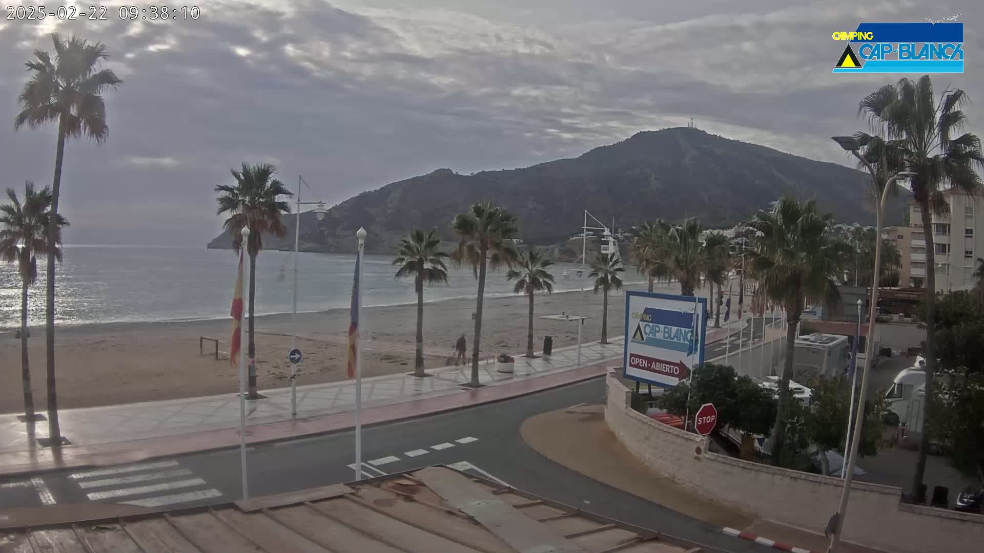 A sandy beach with palm trees and a calm sea is situated next to a paved road under an overcast sky, with a mountain visible in the background.