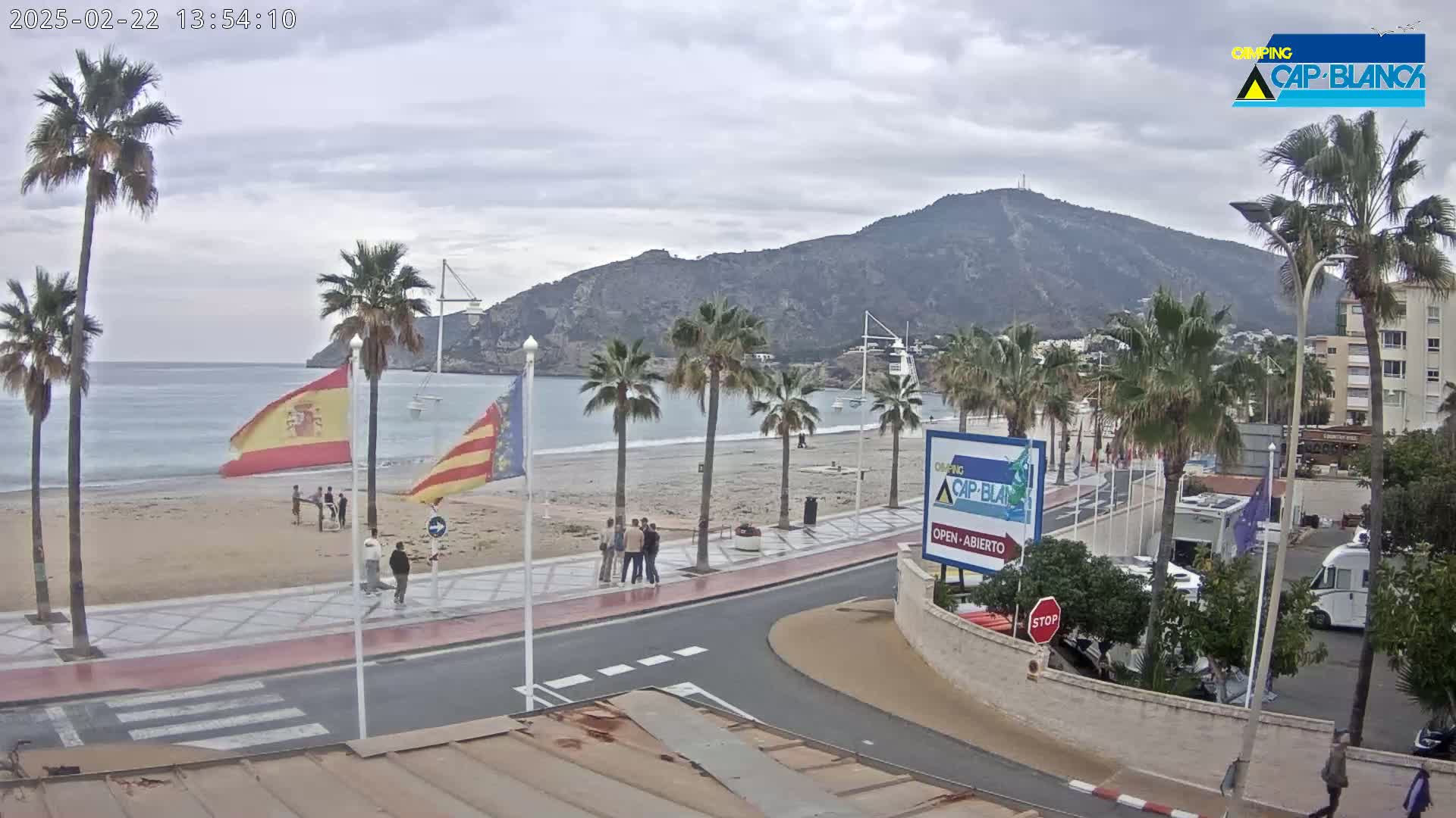 A sandy beach with palm trees and several people near the water, under an overcast sky, next to a road with buildings and a mountain in the background.