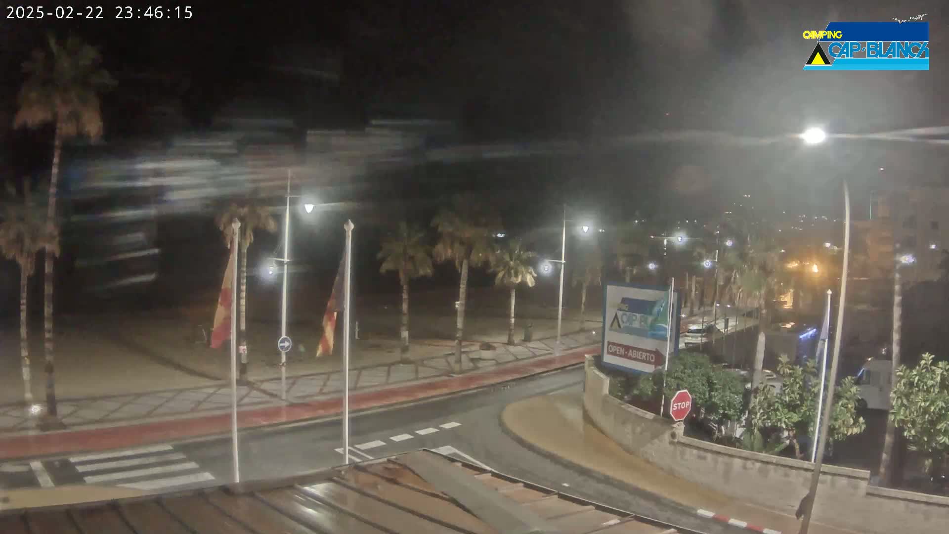 A nighttime street scene shows a palm-lined roadway next to a beach, with light rain or wet pavement and strong winds.
