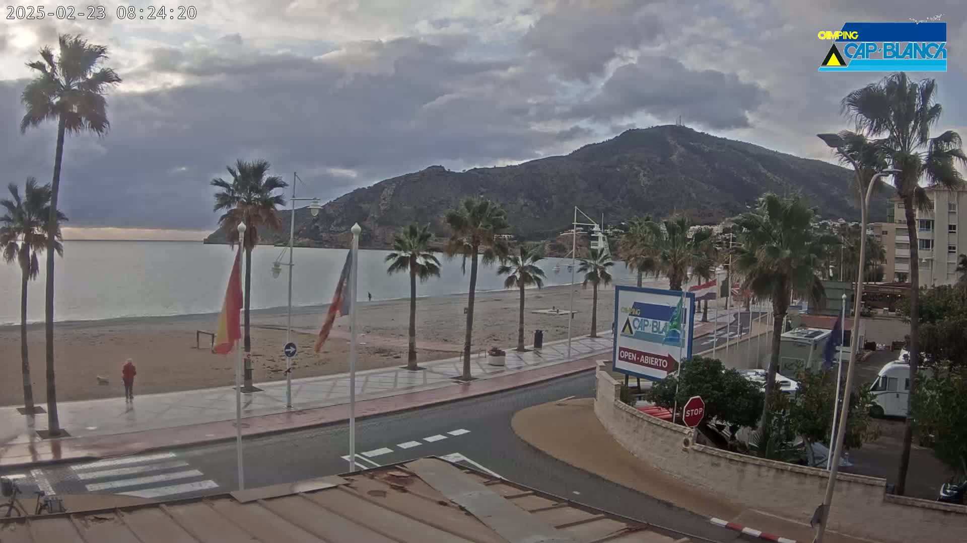 A beachside promenade with palm trees overlooks a calm, gray-sky ocean and a mountain in the background.