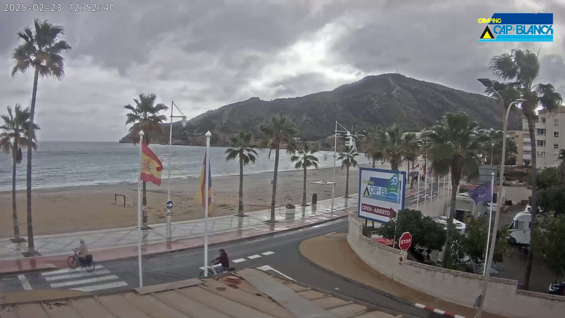 A seaside town with palm trees, a sandy beach, and a mountain in the background under an overcast sky.