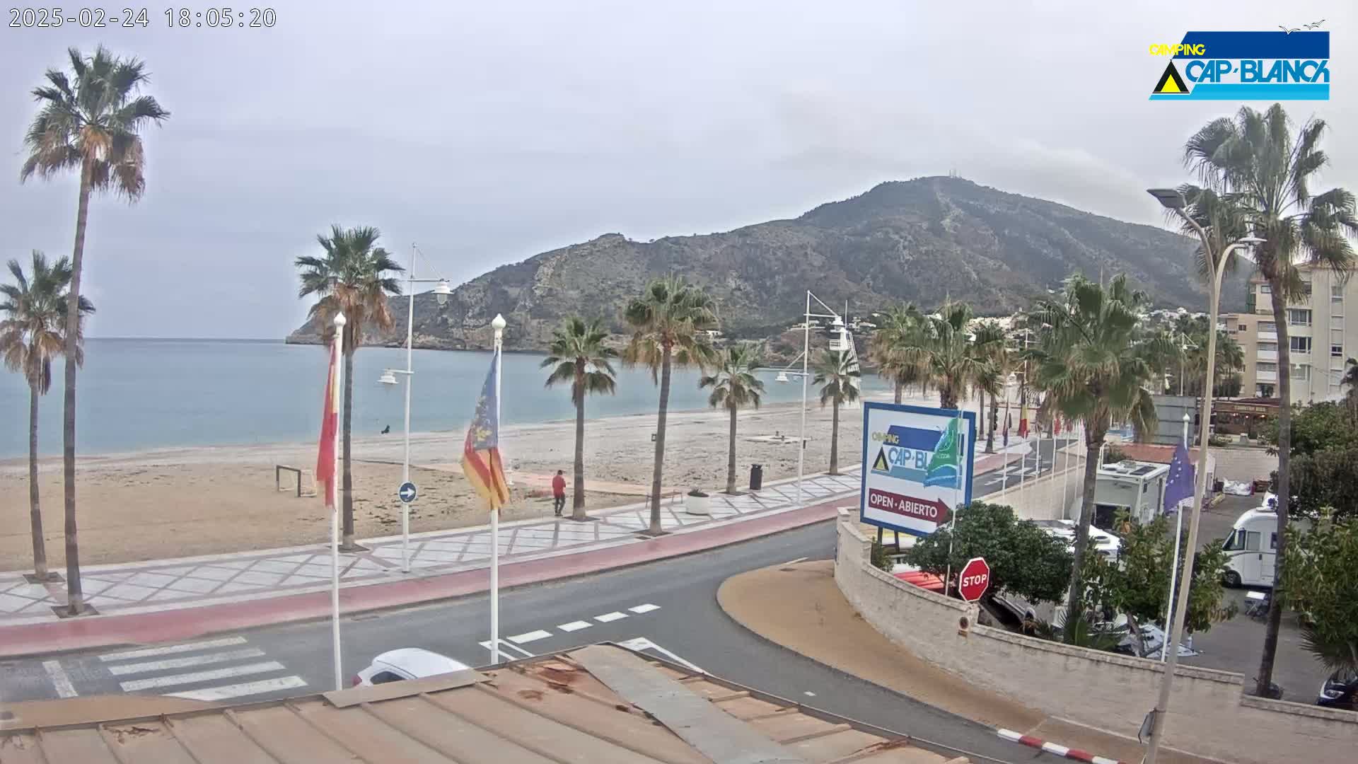 A sandy beach with palm trees lines a paved road next to calm, blue water and a mountain under an overcast sky.