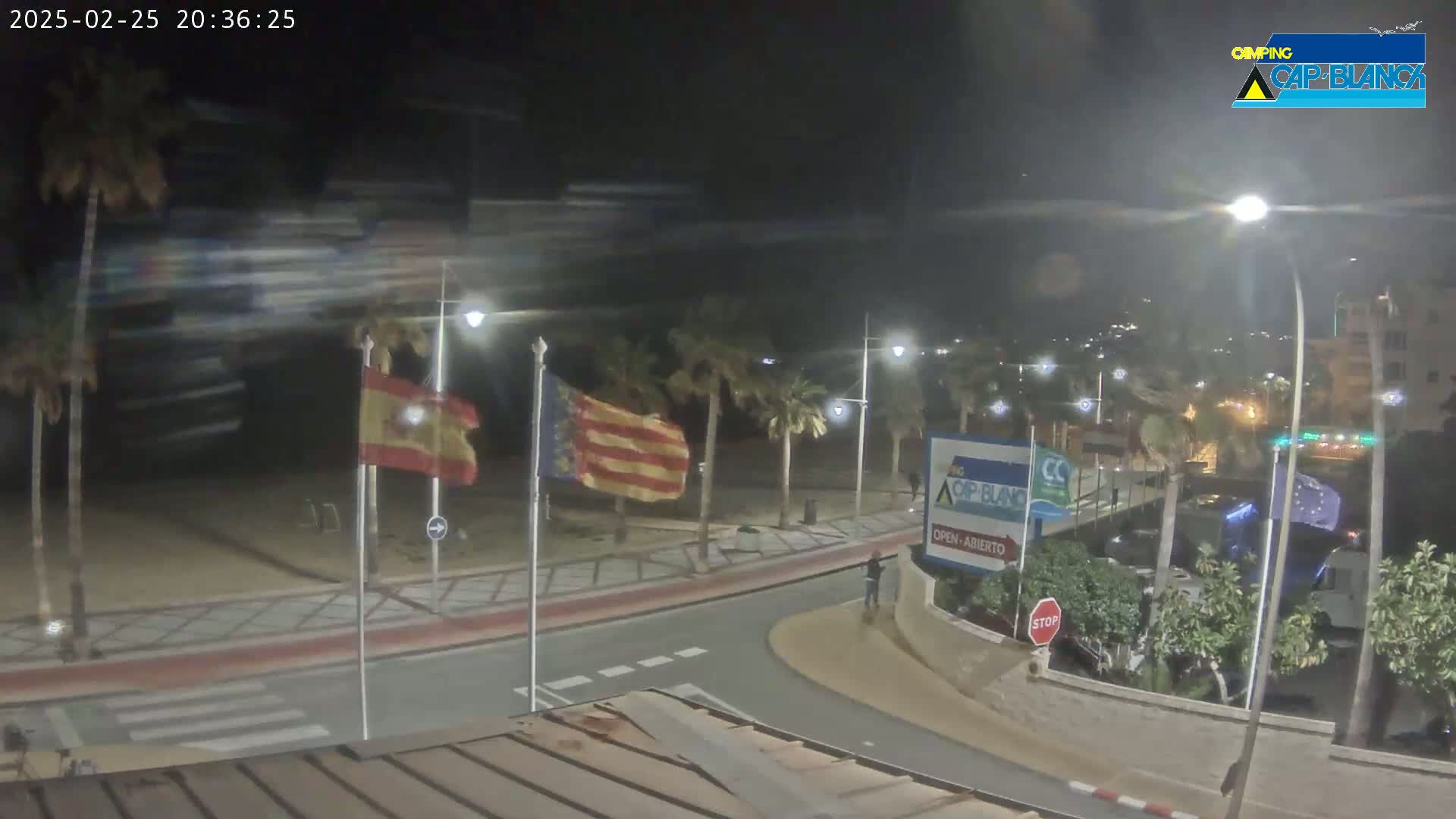A nighttime view of a palm-lined roadway curving near a beach, with Spanish and European flags waving in the wind.