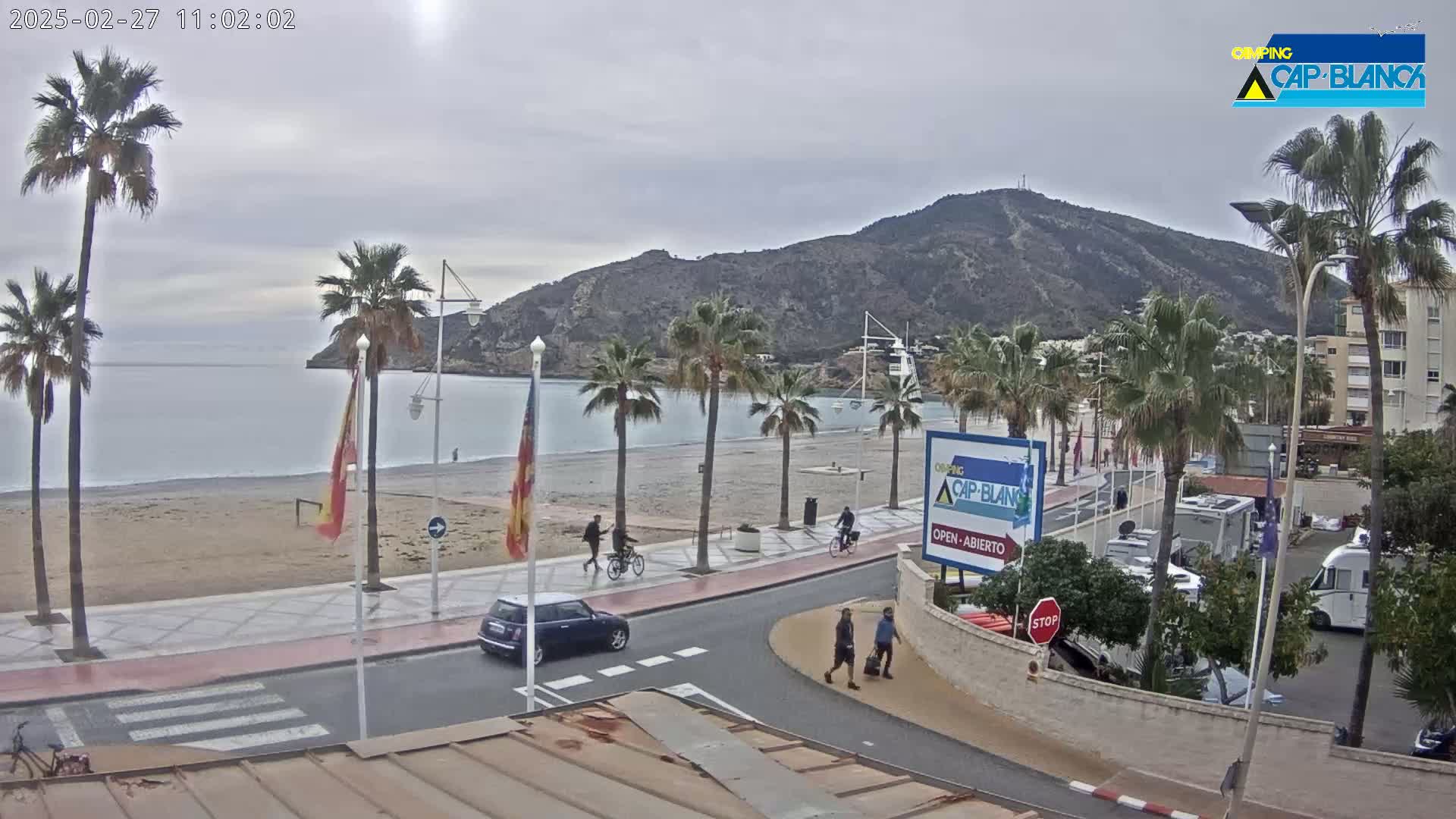 A beach with palm trees, a few cars, and pedestrians is seen on an overcast day in front of a mountain.