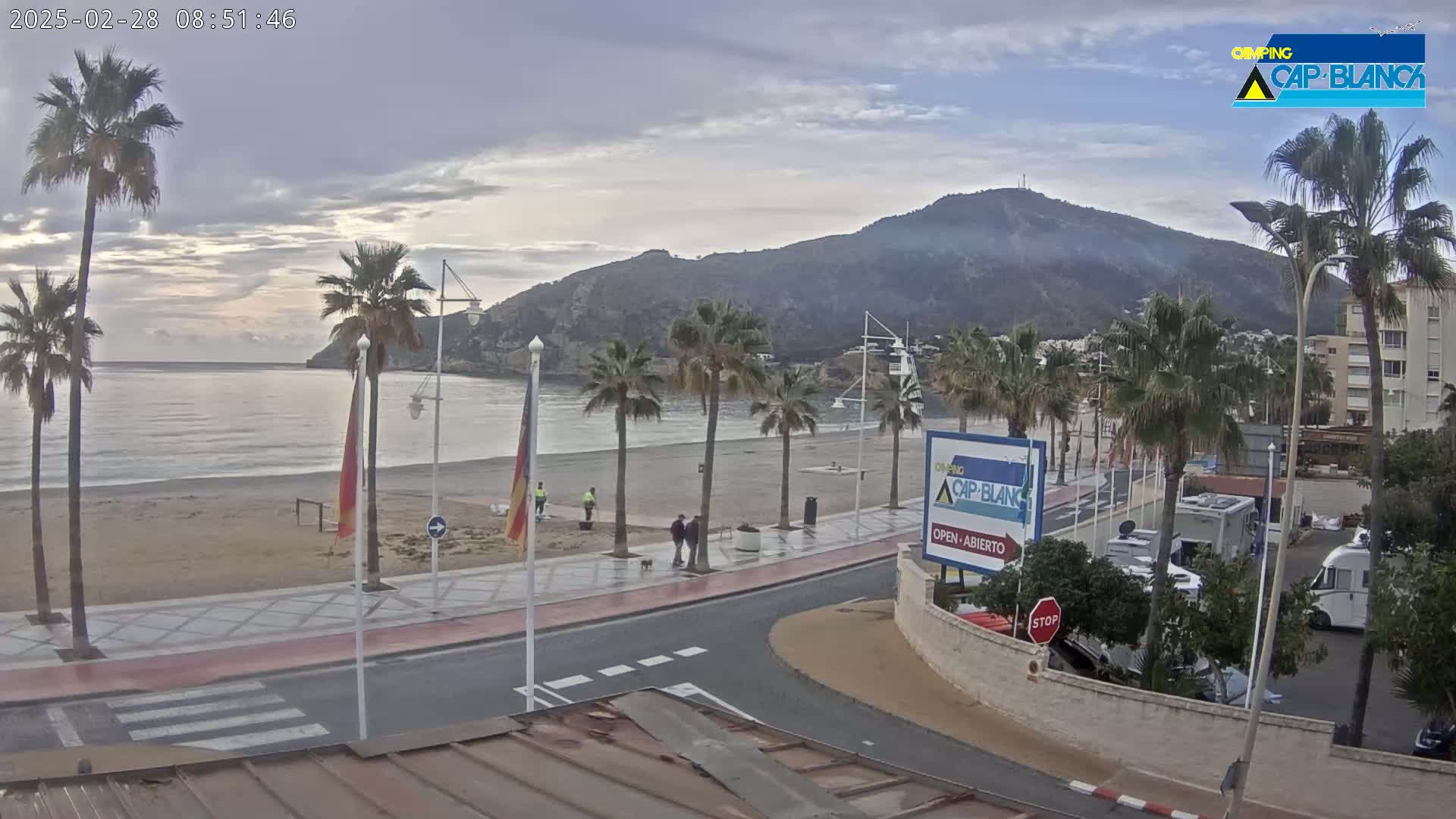 A mostly cloudy day overlooks a sandy beach with palm trees lining a promenade, a calm bay, and a large mountain in the background.