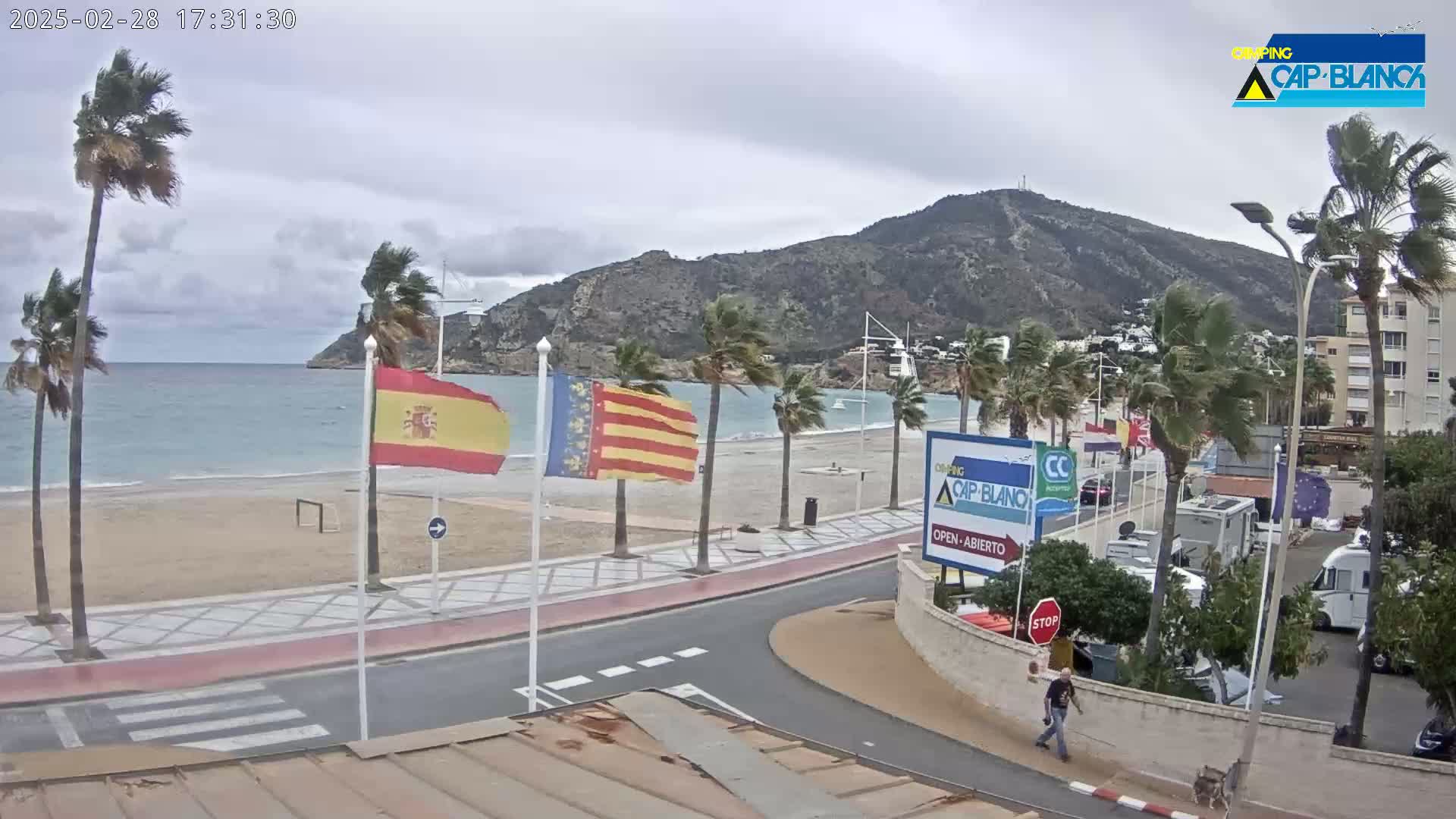 A windy day at a beachside promenade shows palm trees bending in the breeze, Spanish and Catalan flags waving, a calm sea, and a mountain in the background.