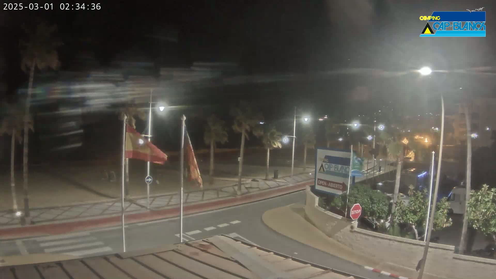 A nighttime, windy scene shows a beachside road curving around palm trees and flags, with streetlights illuminating the area.