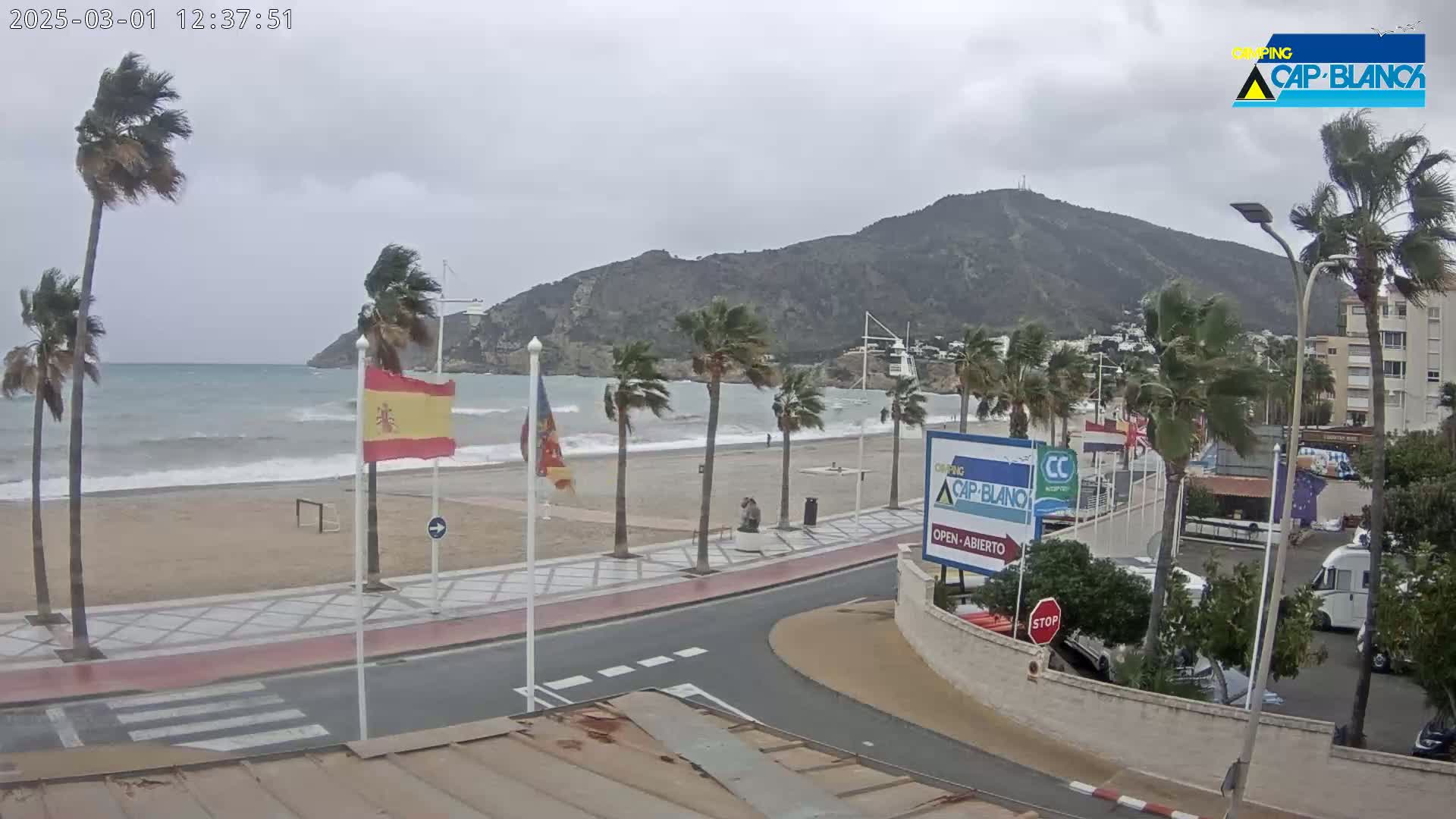 A windy, overcast day at a beach with palm trees bending in the wind, waves crashing on the shore, and a coastal road leading to buildings and a parking area.