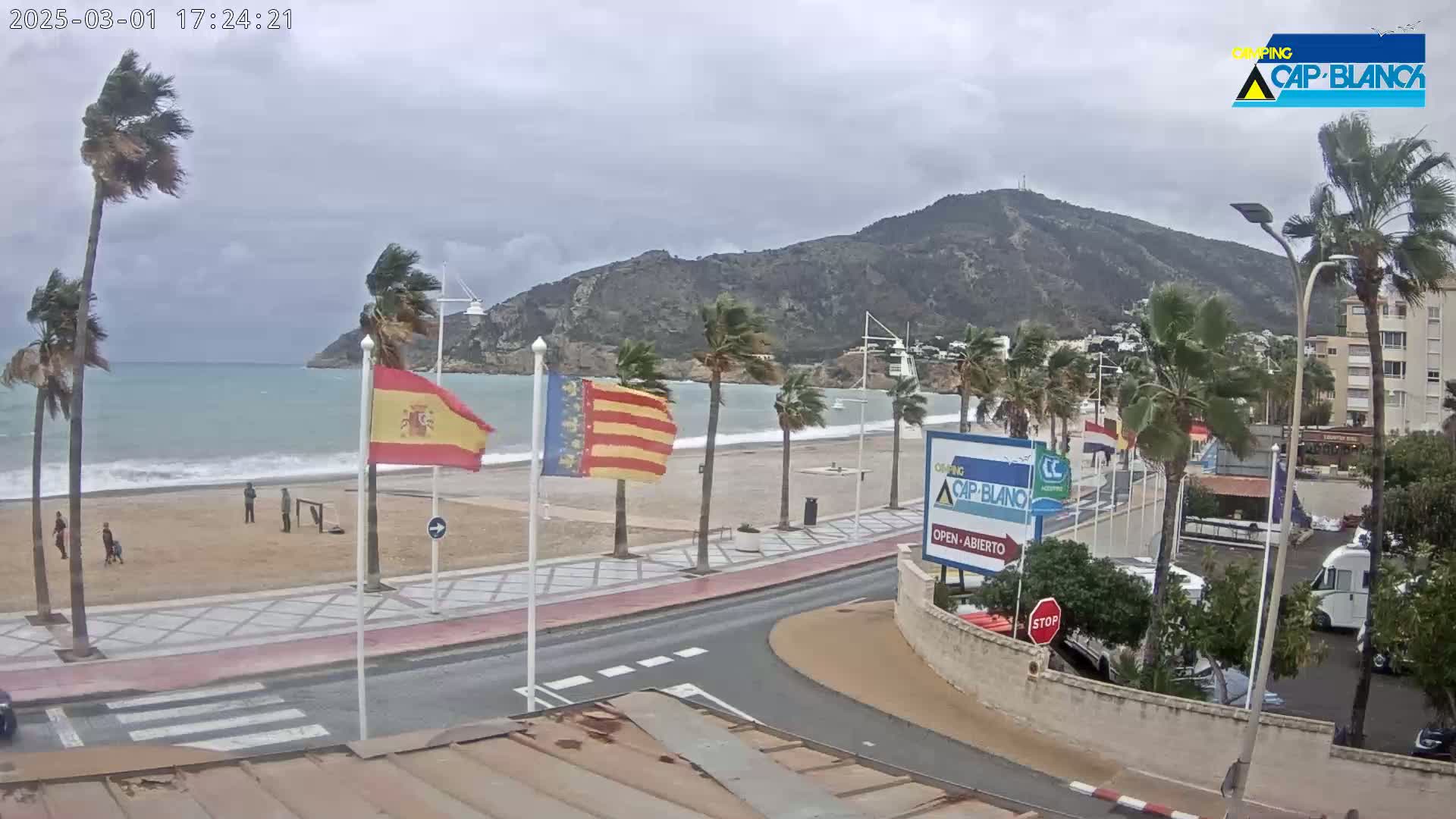A windy day at a beachside promenade shows palm trees bending in the wind, a sandy beach with a few people, and a calm sea with a mountain in the background.