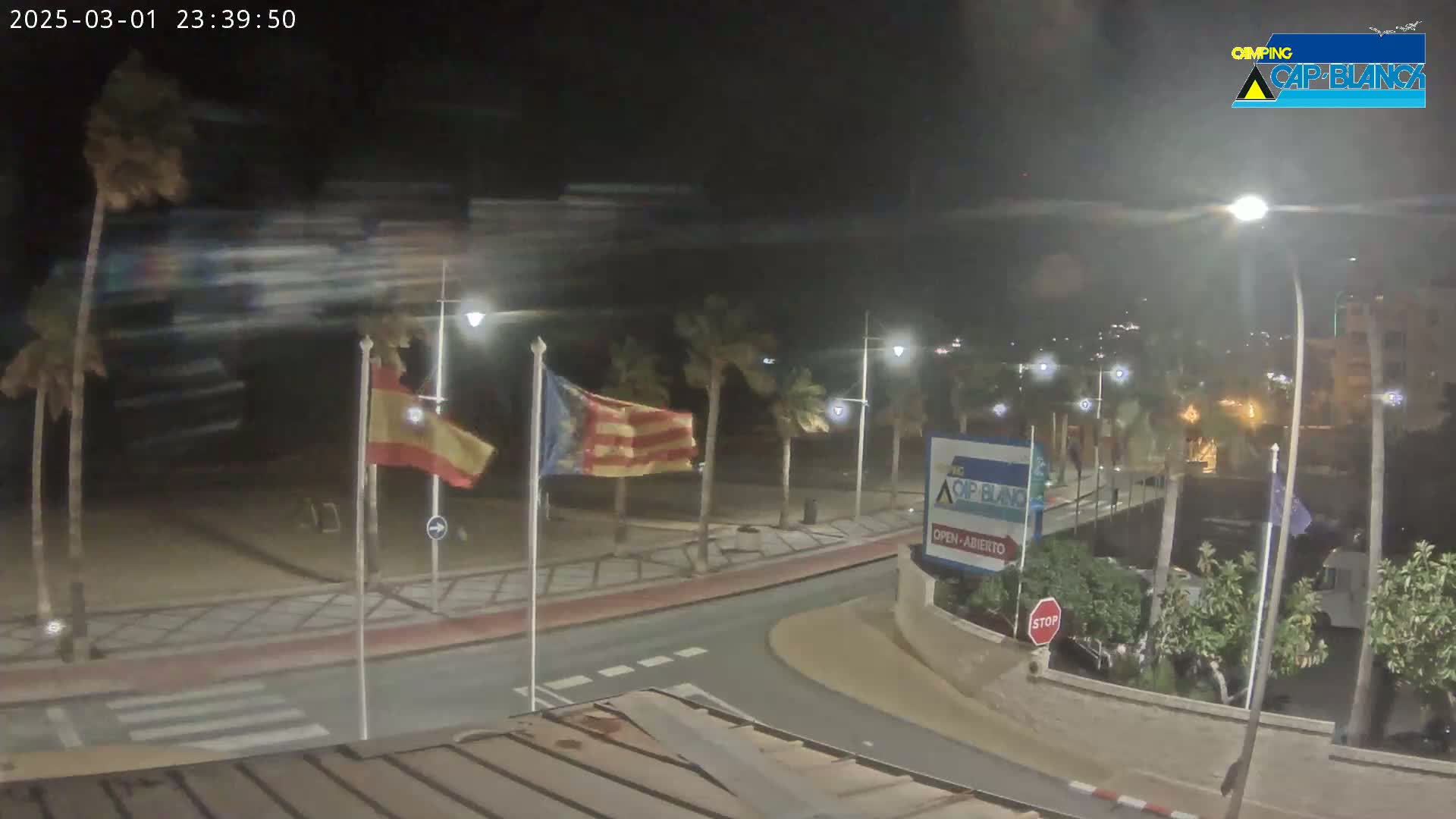 A nighttime, windy scene shows a beachside road with palm trees, flags, and streetlights, overlooking a sandy beach.